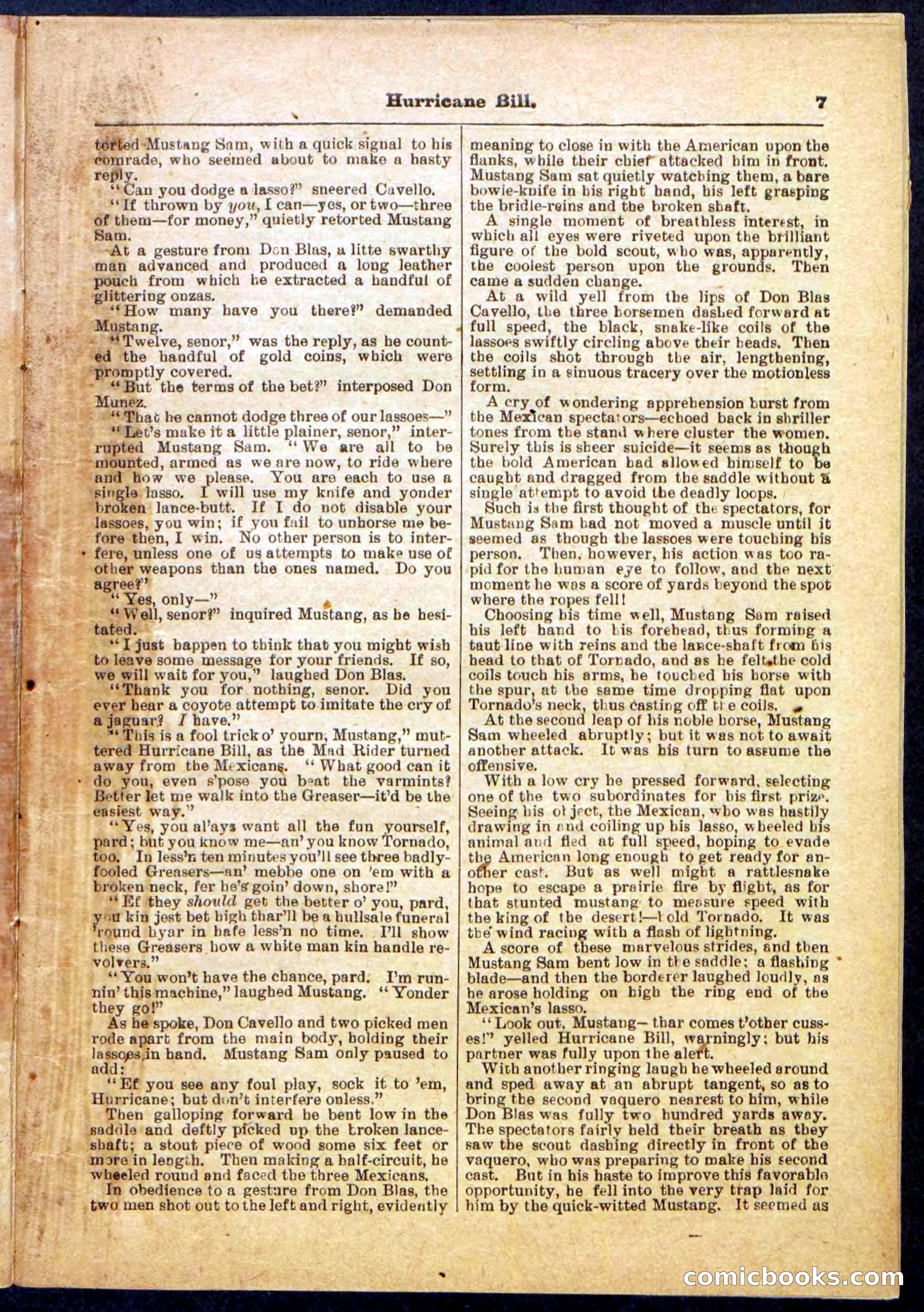 Beadle's Pocket Library, Vol. IV, No. 49 — page 7 of 32