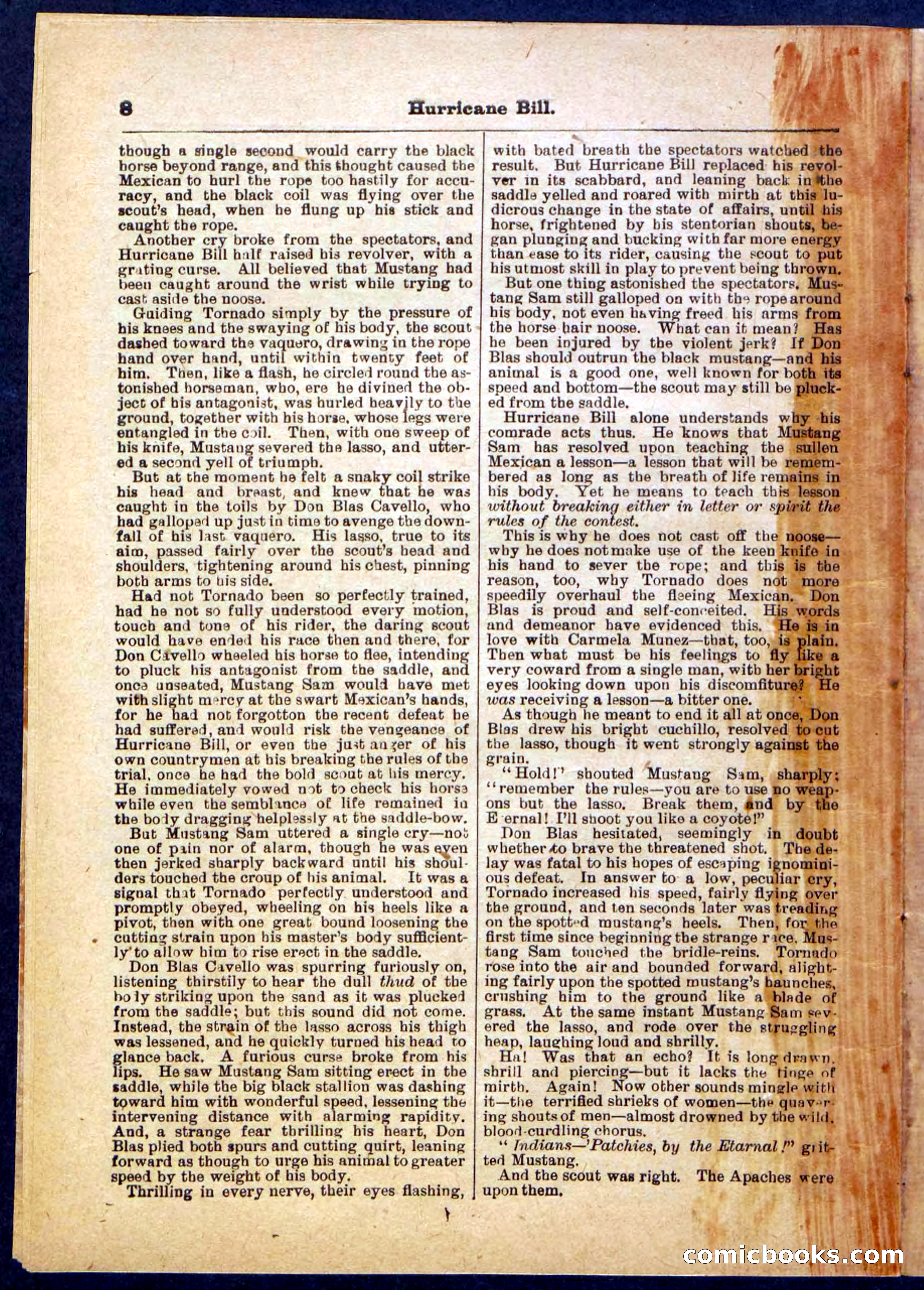 Beadle's Pocket Library, Vol. IV, No. 49 — page 8 of 32