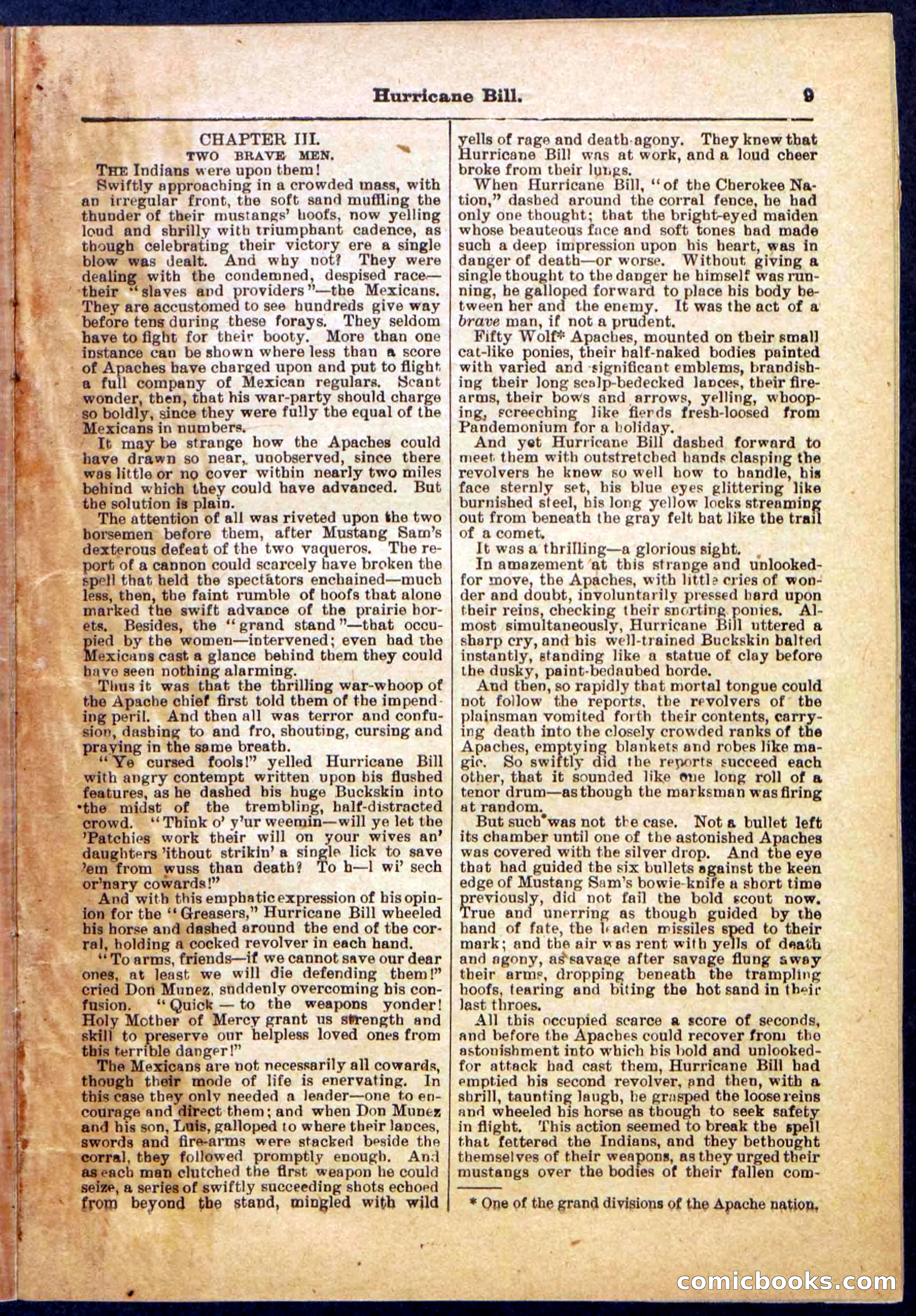 Beadle's Pocket Library, Vol. IV, No. 49 — page 9 of 32