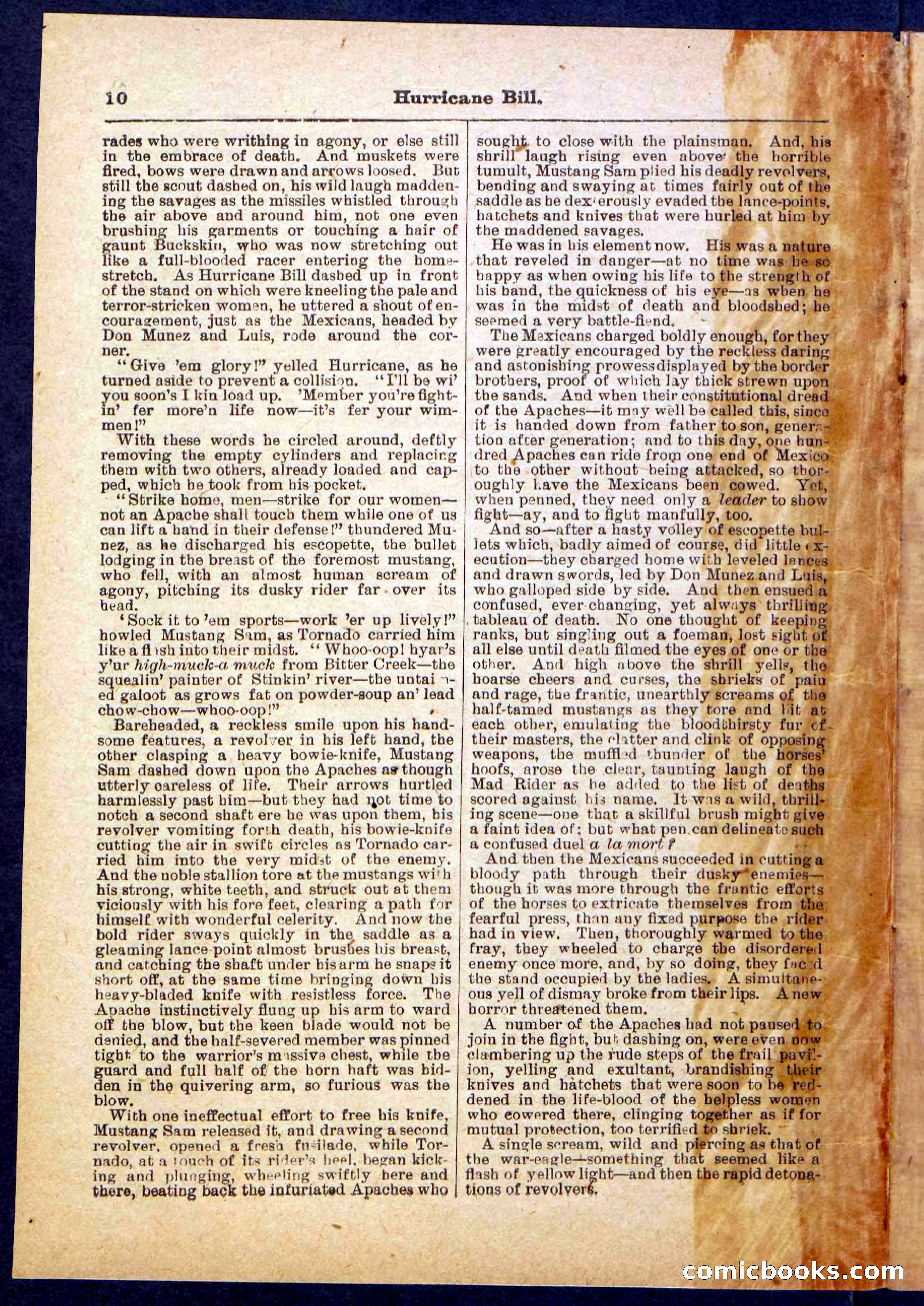 Beadle's Pocket Library, Vol. IV, No. 49 — page 10 of 32