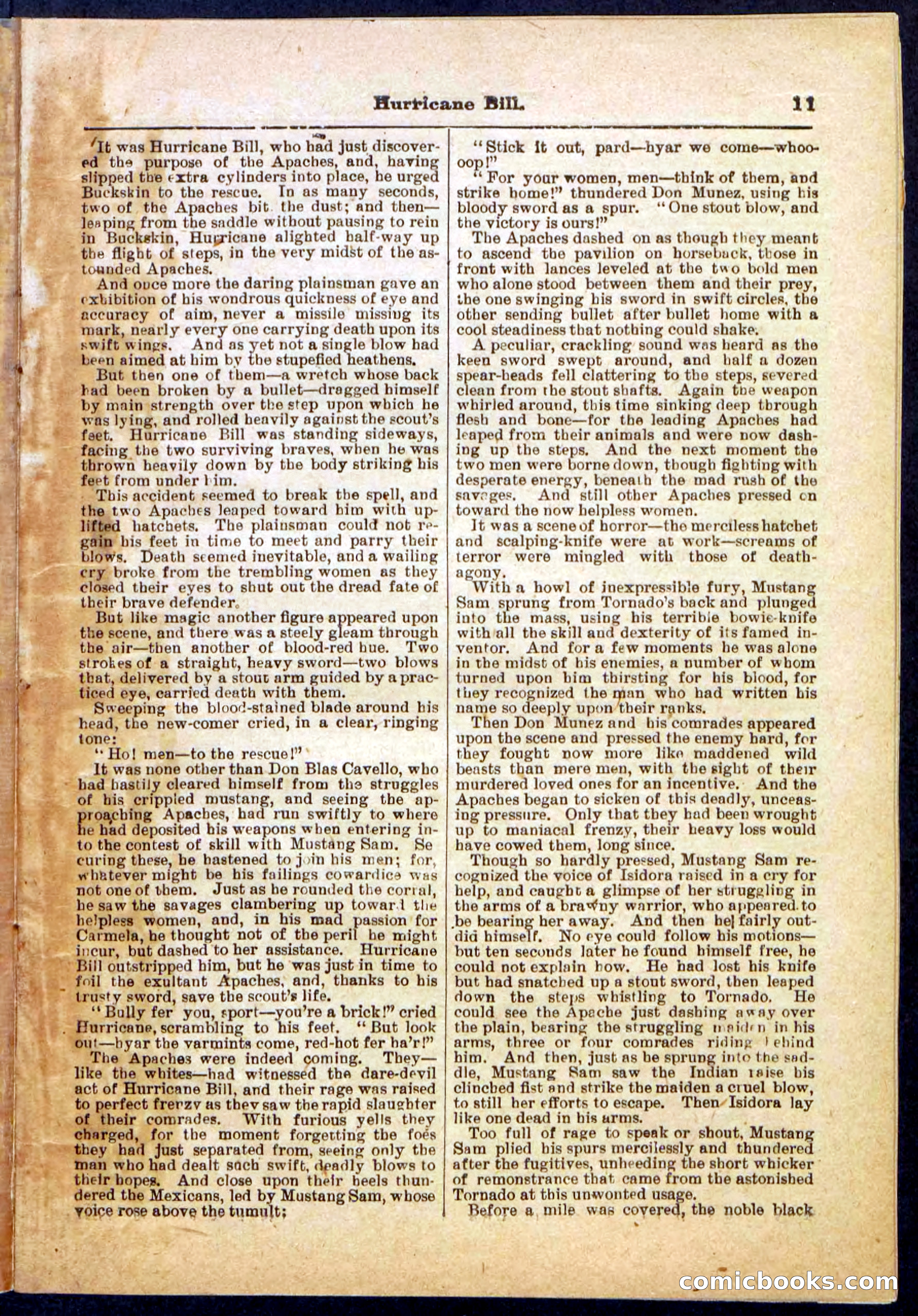 Beadle's Pocket Library, Vol. IV, No. 49 — page 11 of 32