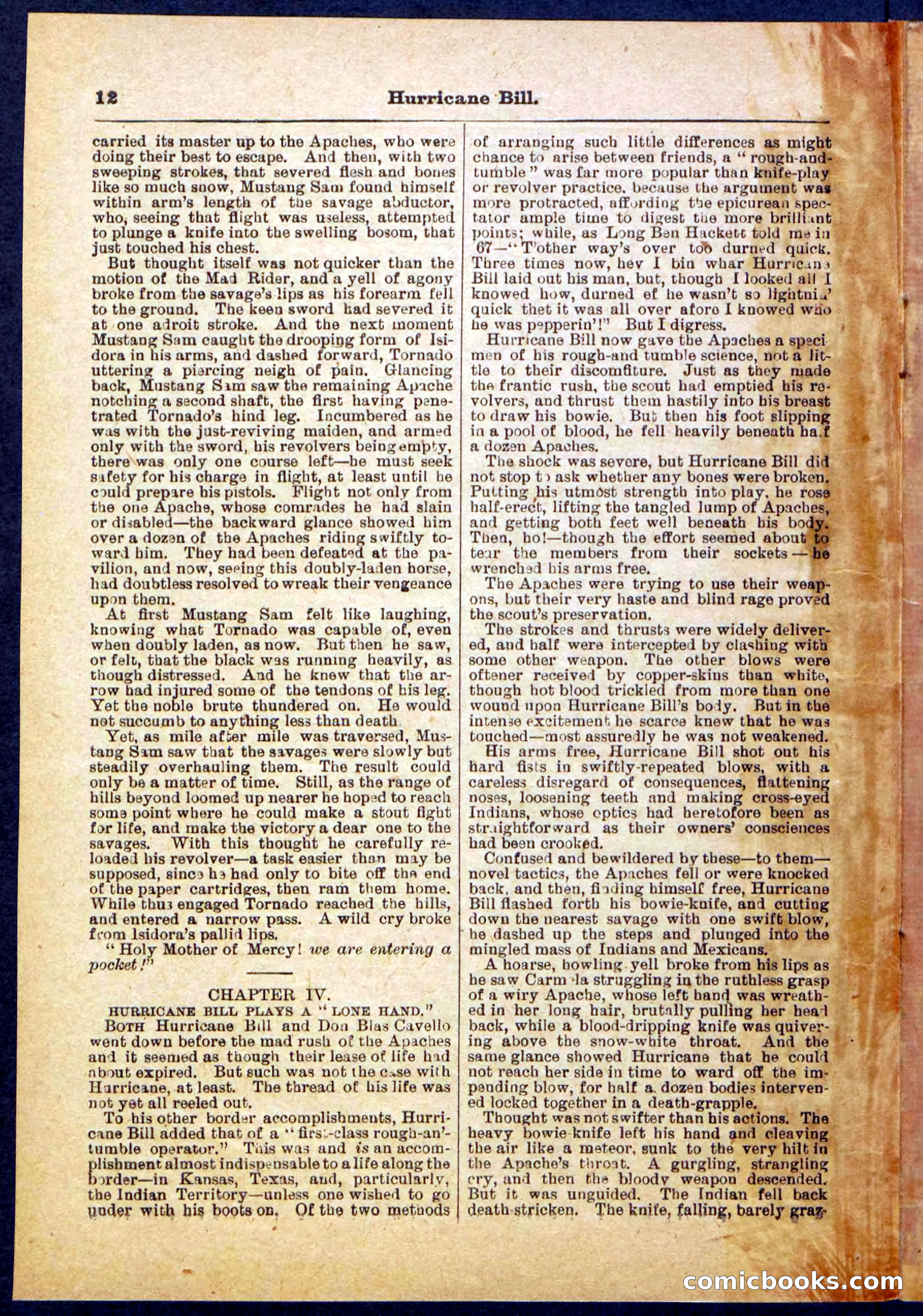 Beadle's Pocket Library, Vol. IV, No. 49 — page 12 of 32