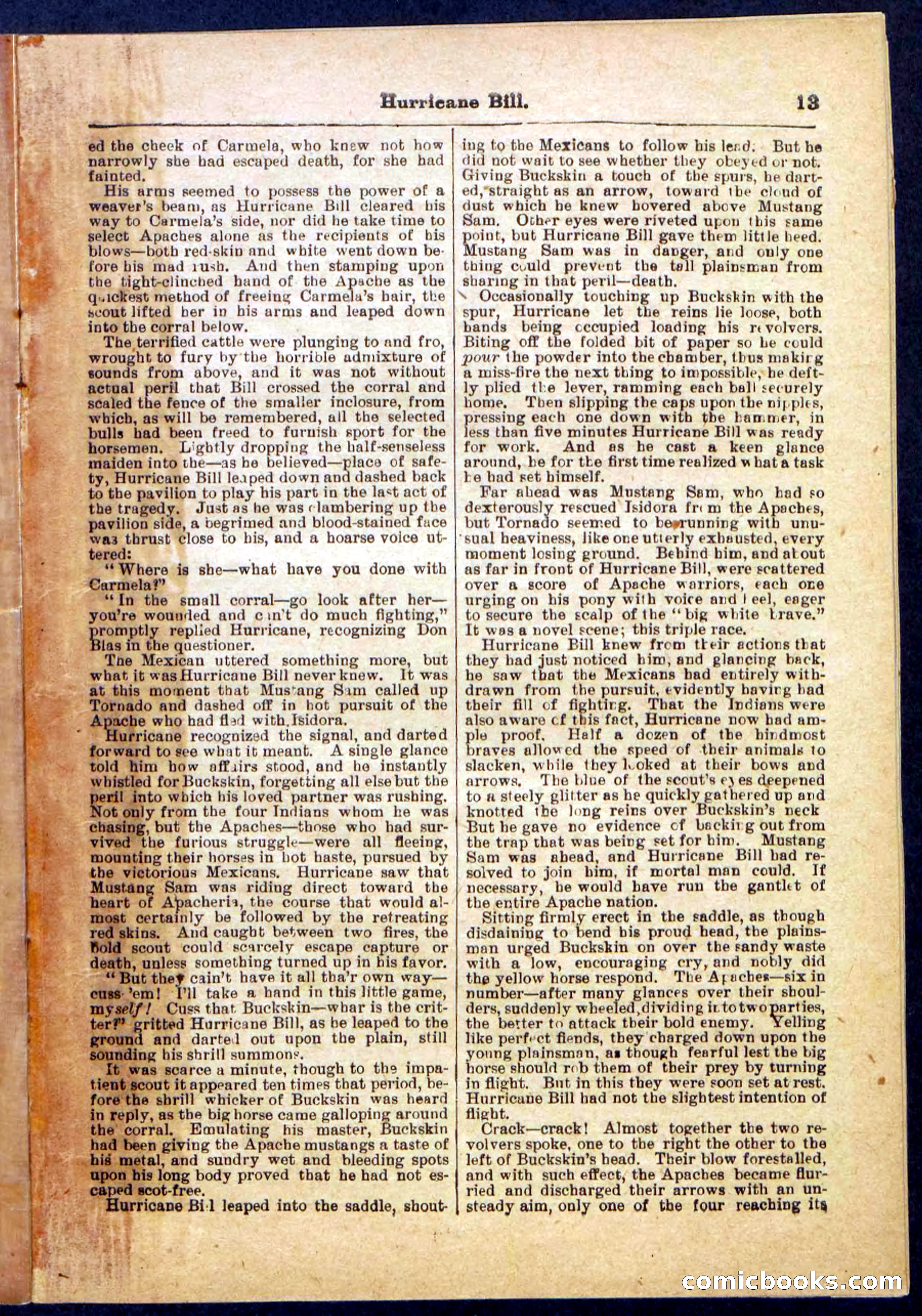 Beadle's Pocket Library, Vol. IV, No. 49 — page 13 of 32