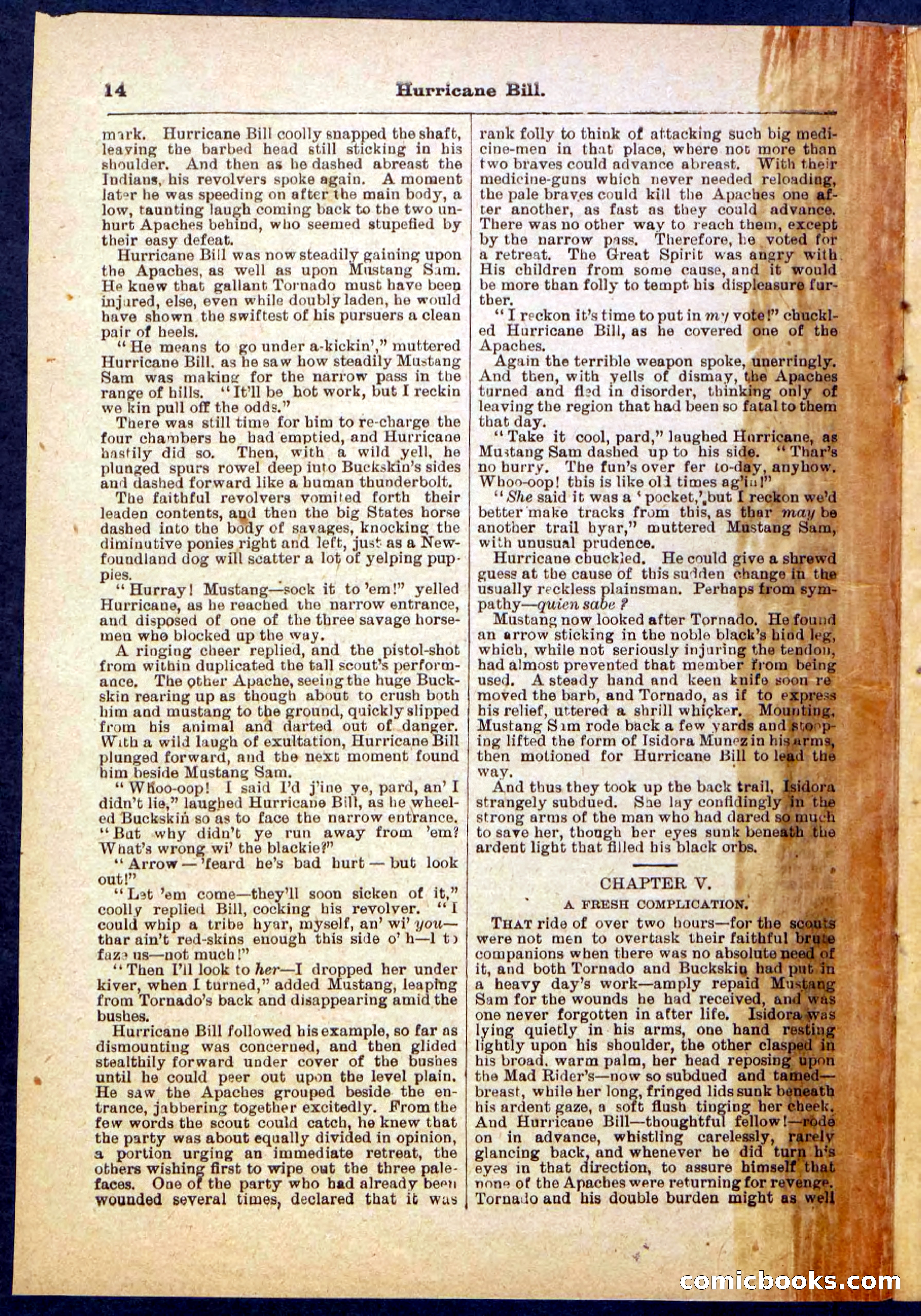 Beadle's Pocket Library, Vol. IV, No. 49 — page 14 of 32