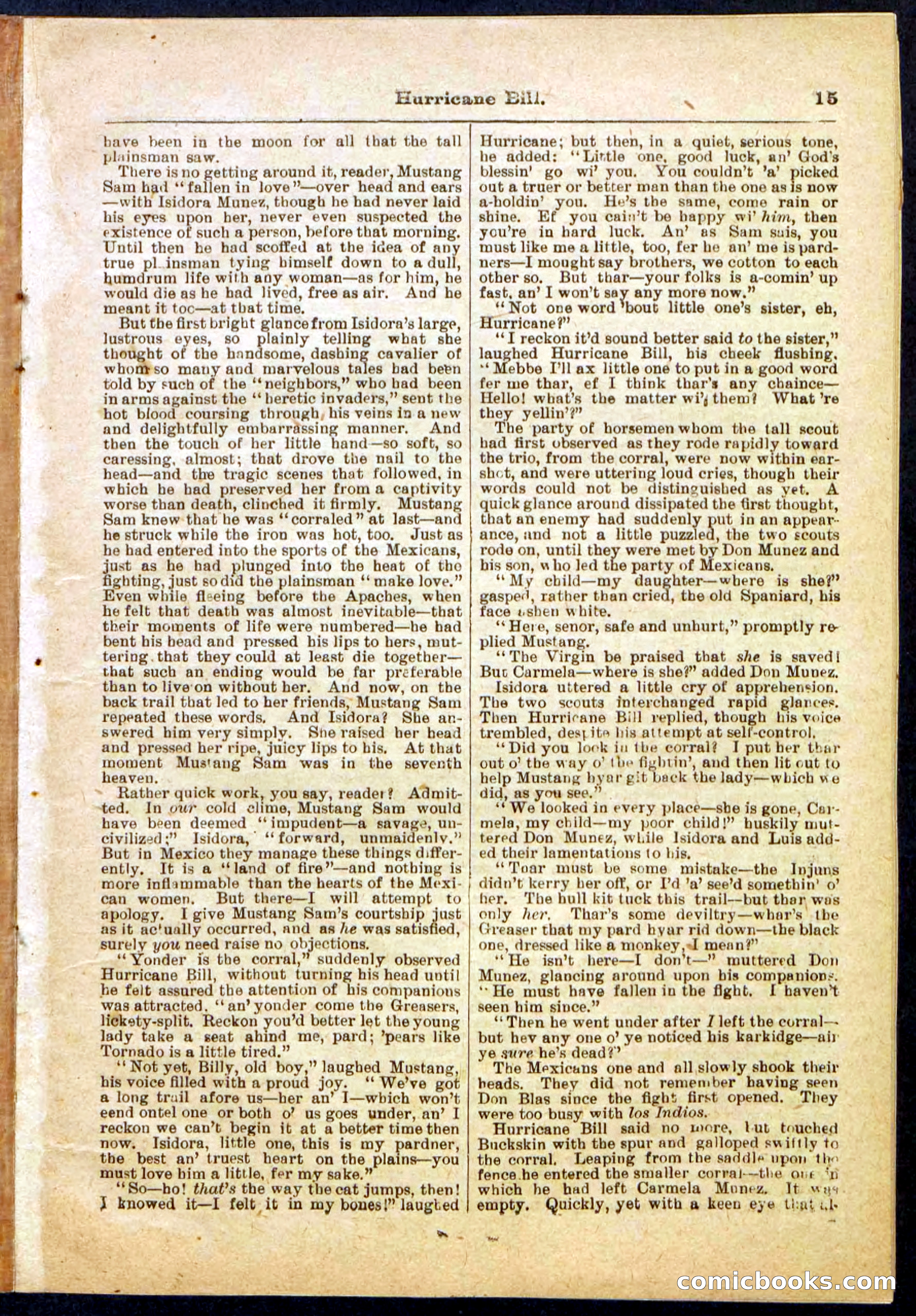 Beadle's Pocket Library, Vol. IV, No. 49 — page 15 of 32