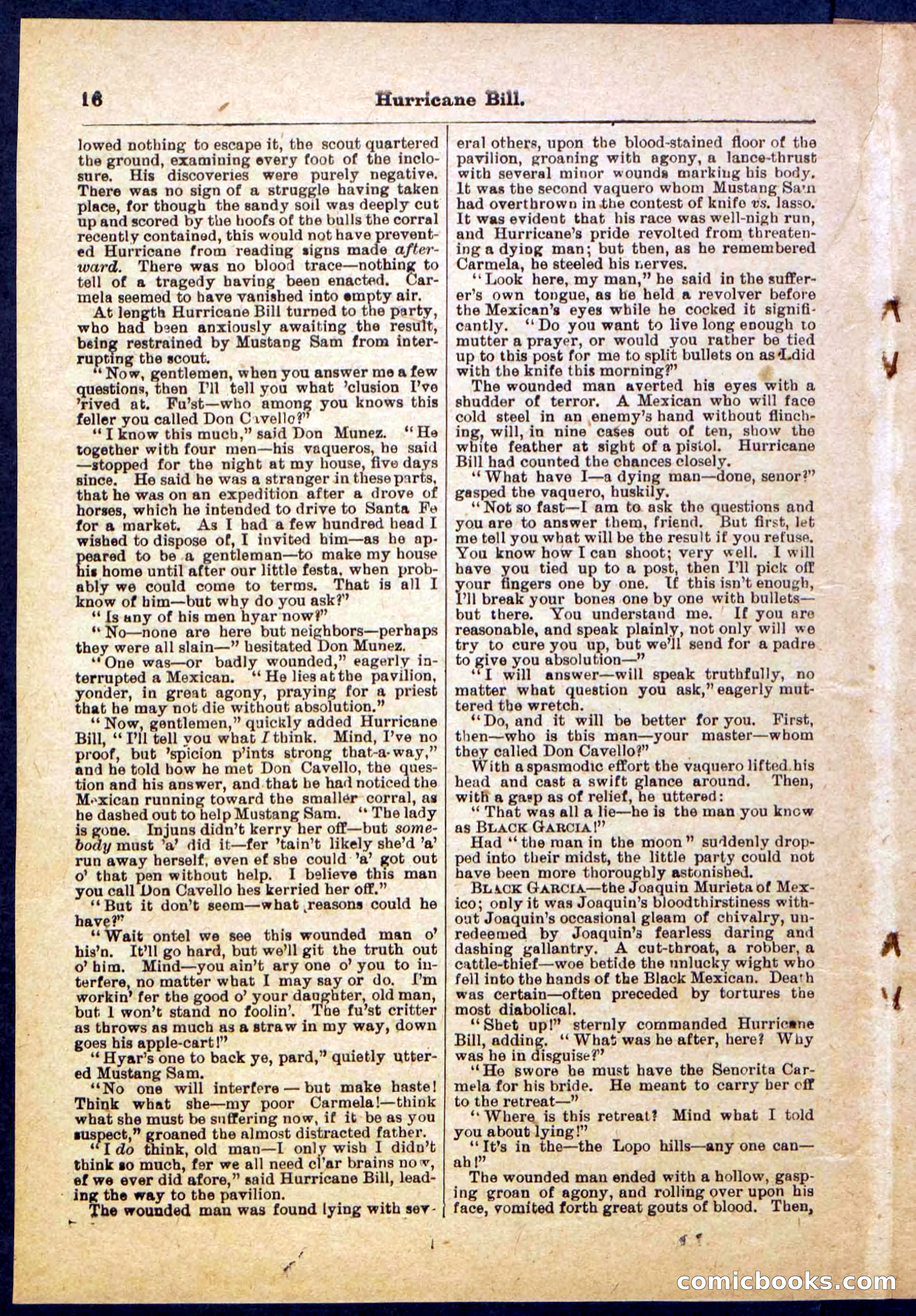 Beadle's Pocket Library, Vol. IV, No. 49 — page 16 of 32