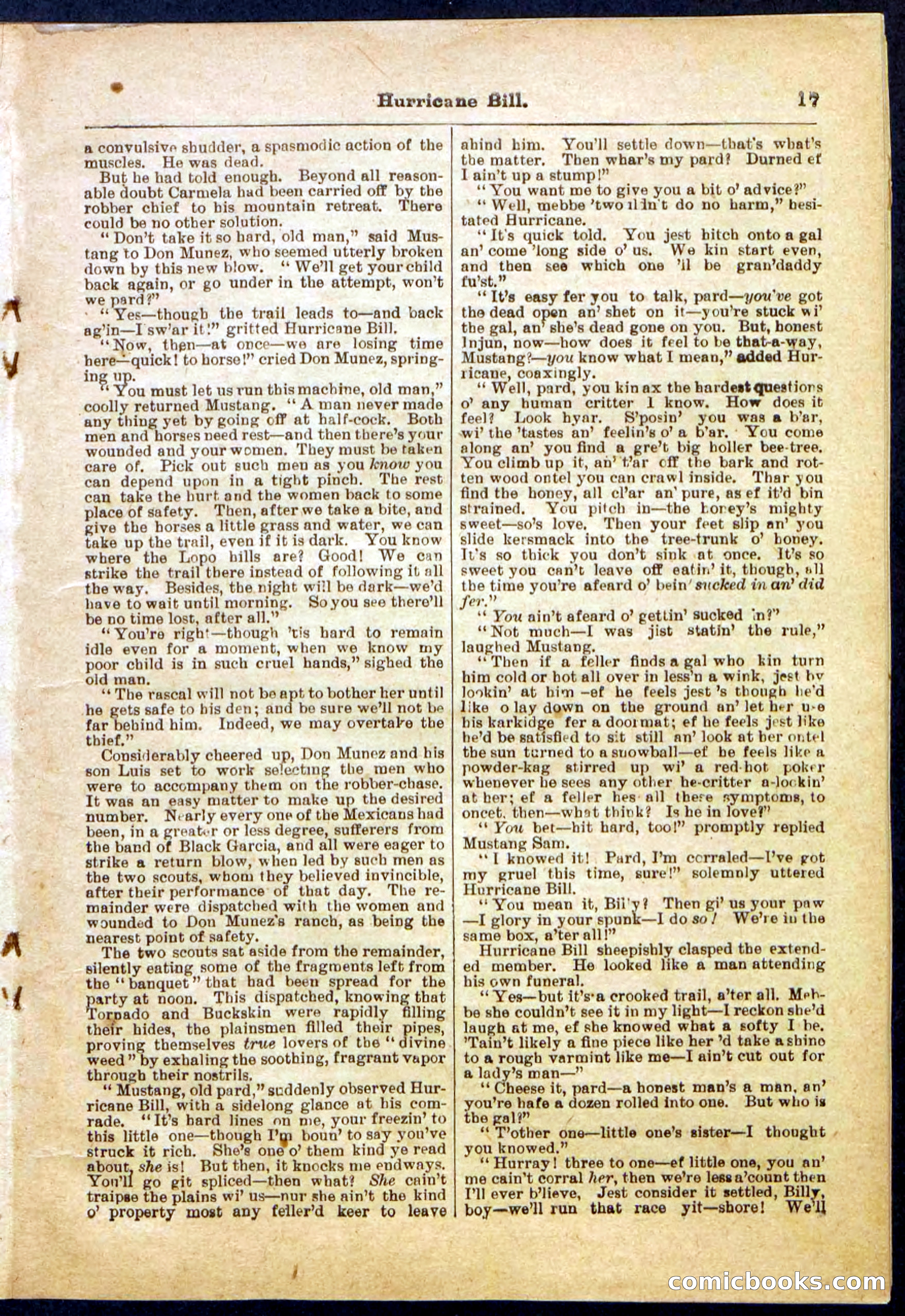 Beadle's Pocket Library, Vol. IV, No. 49 — page 17 of 32