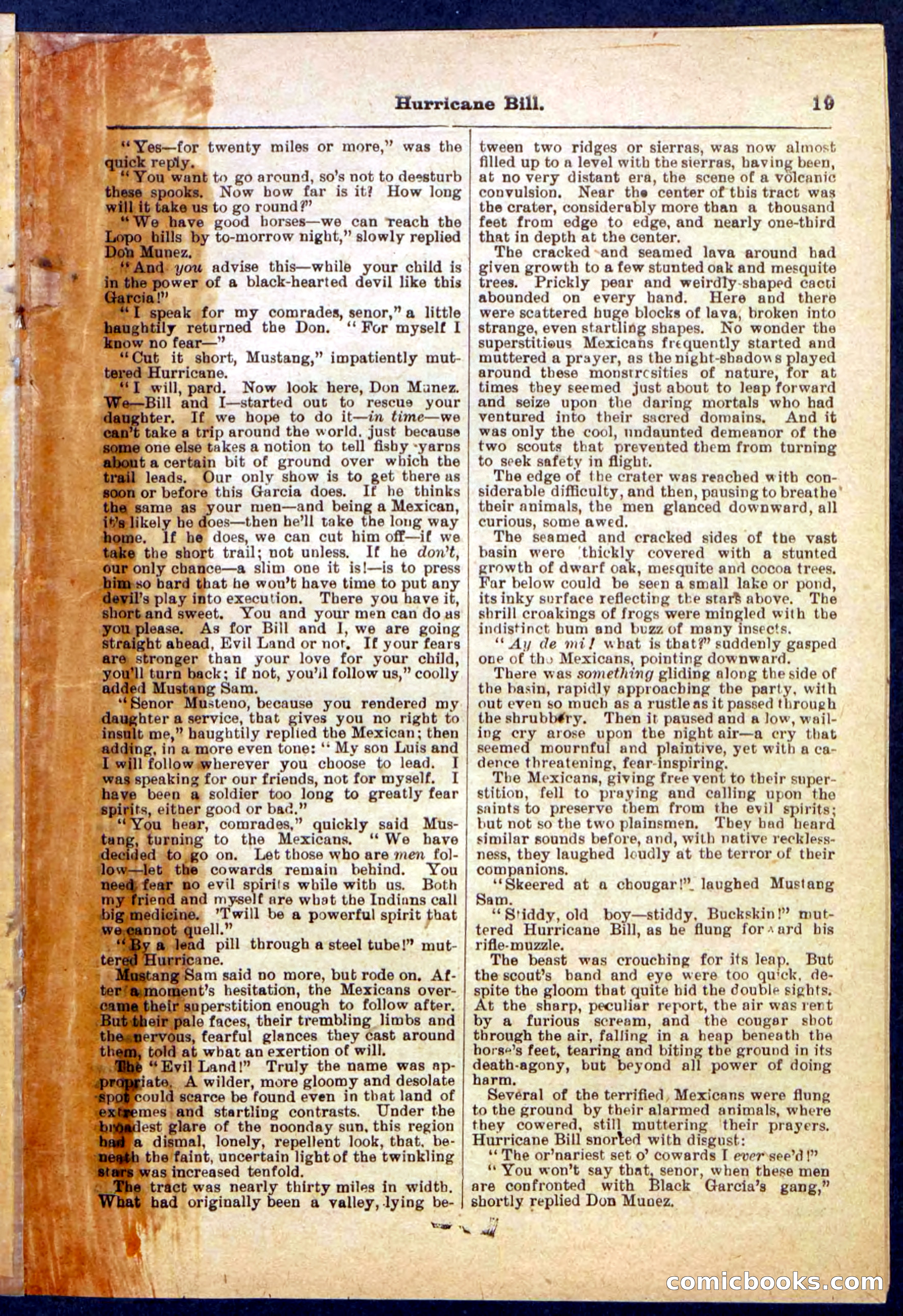 Beadle's Pocket Library, Vol. IV, No. 49 — page 19 of 32