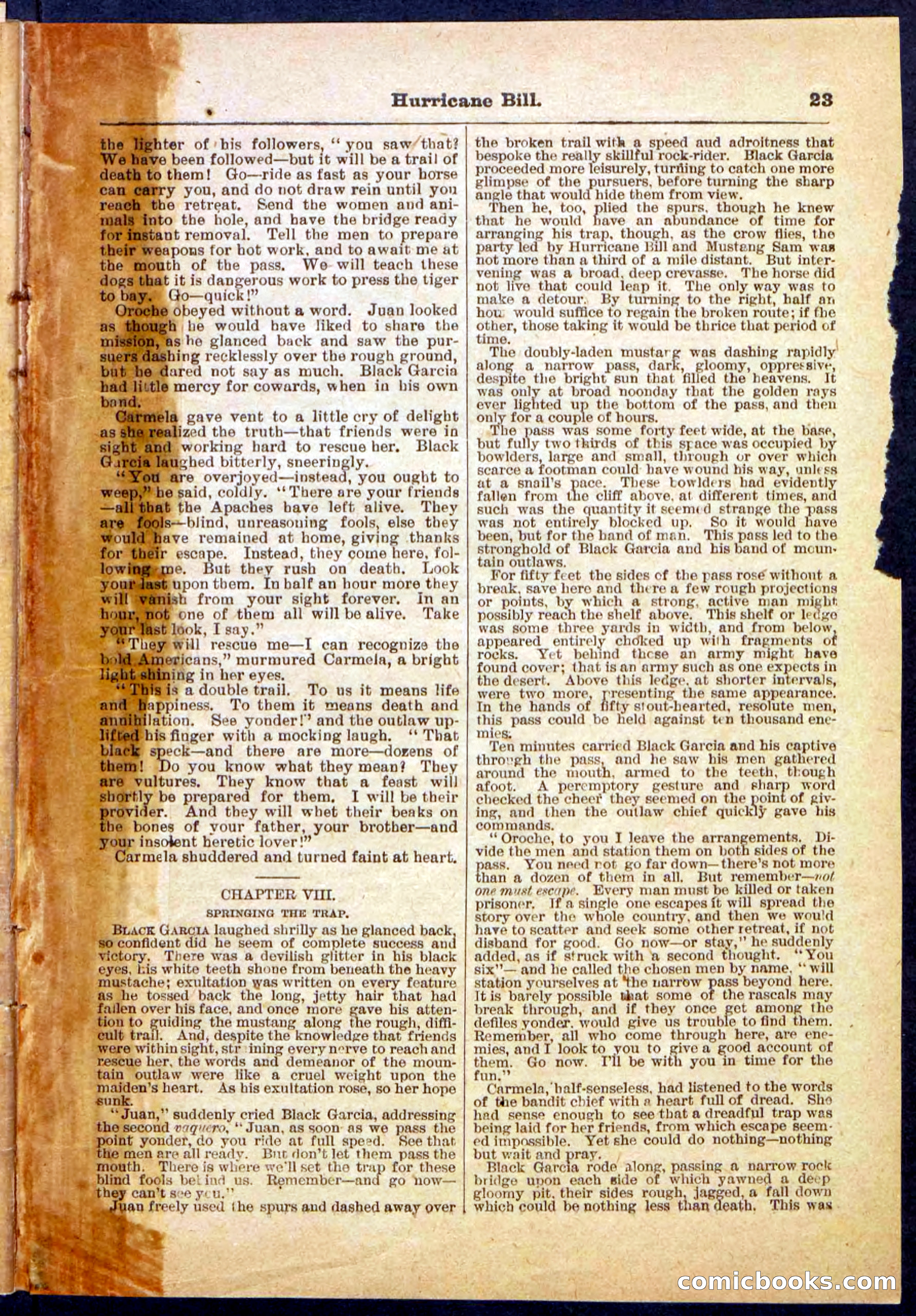 Beadle's Pocket Library, Vol. IV, No. 49 — page 23 of 32