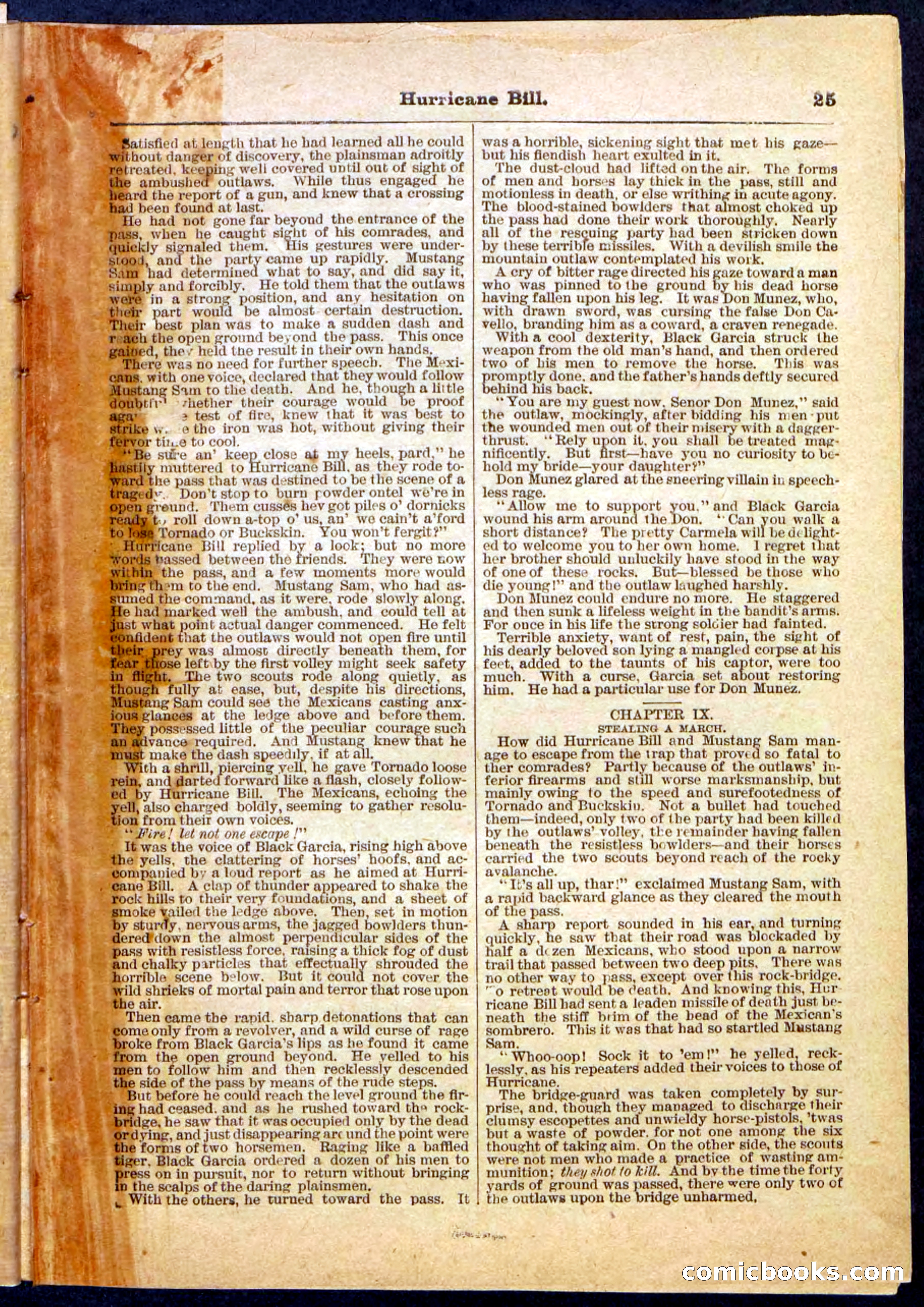 Beadle's Pocket Library, Vol. IV, No. 49 — page 25 of 32