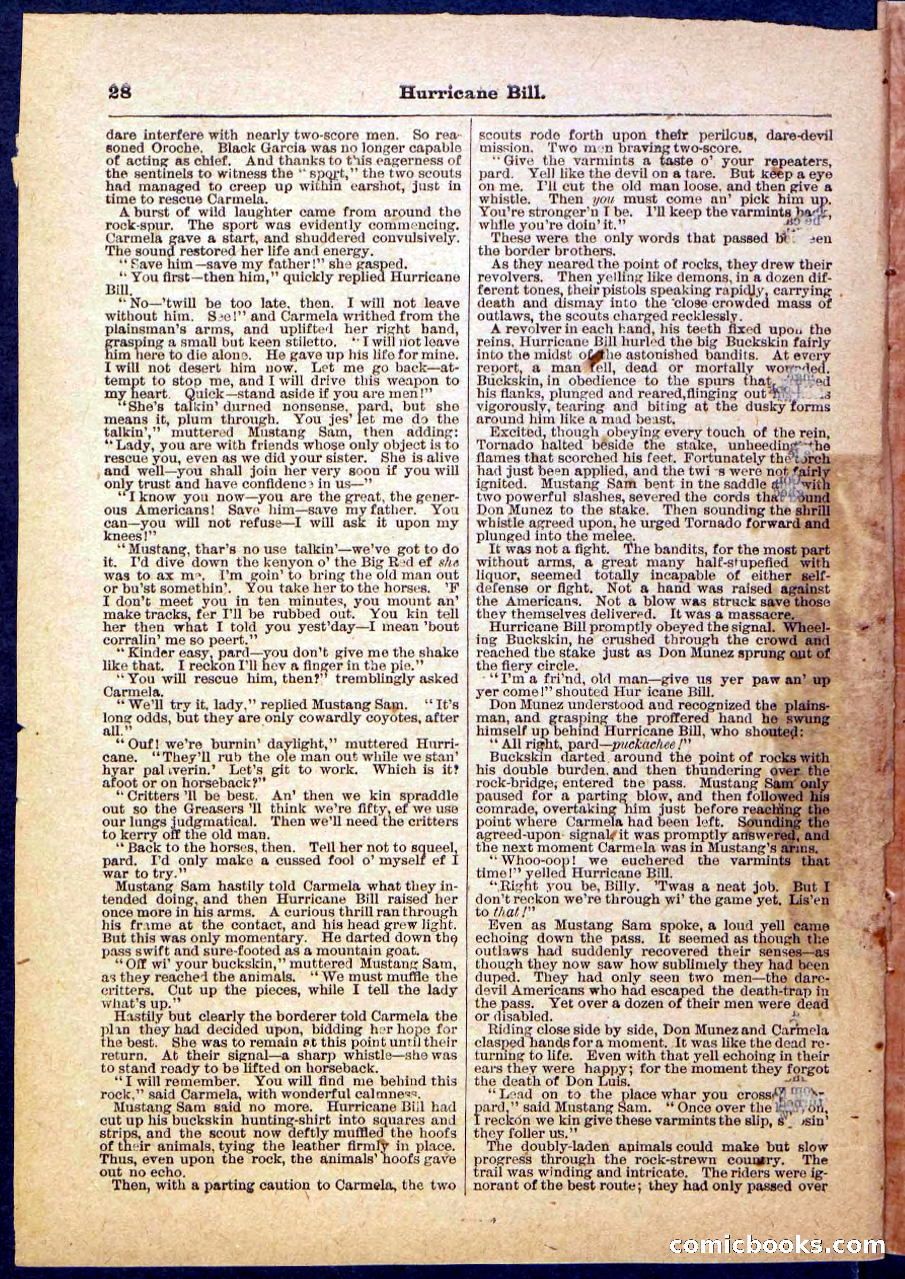 Beadle's Pocket Library, Vol. IV, No. 49 — page 28 of 32