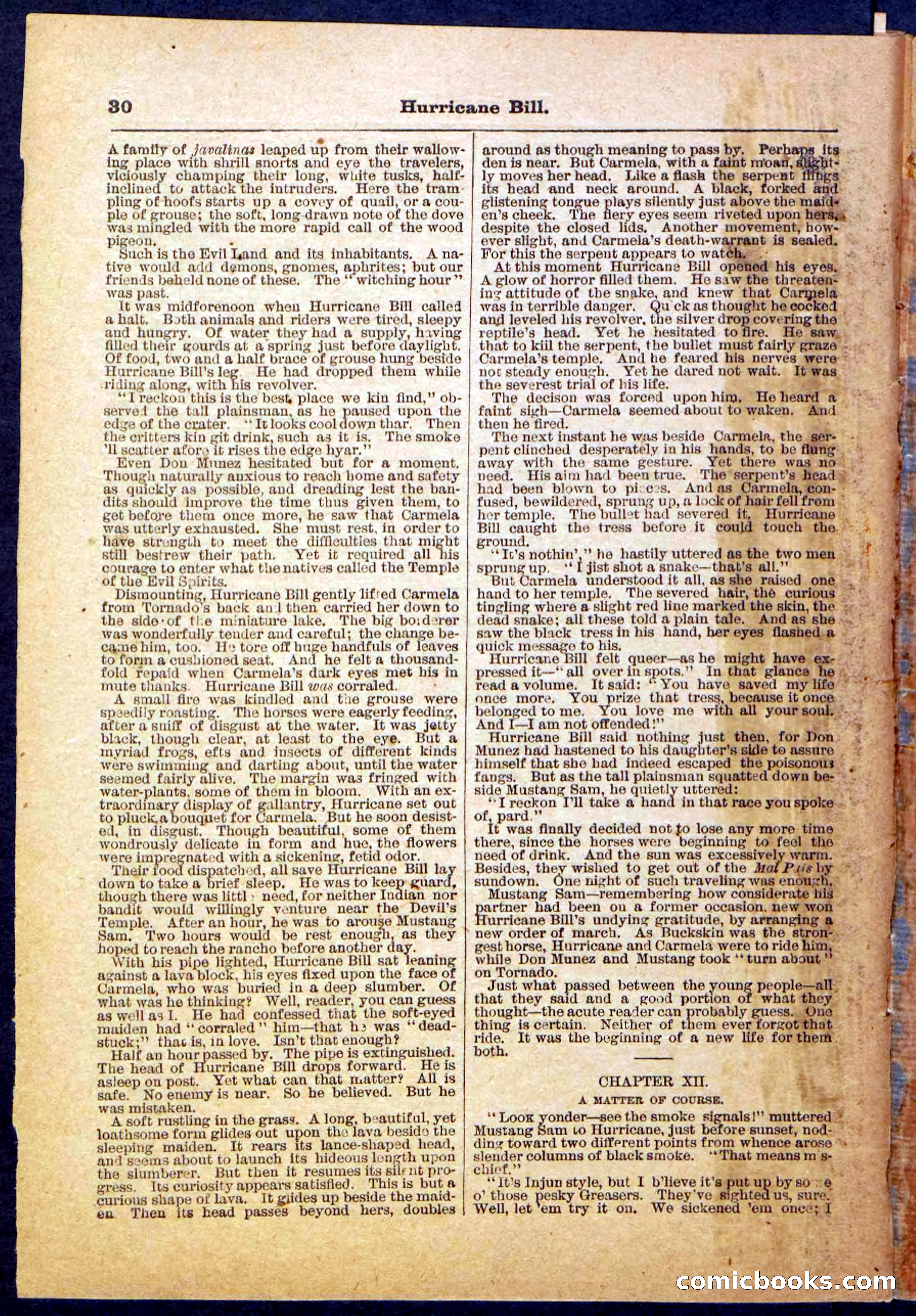 Beadle's Pocket Library, Vol. IV, No. 49 — page 30 of 32