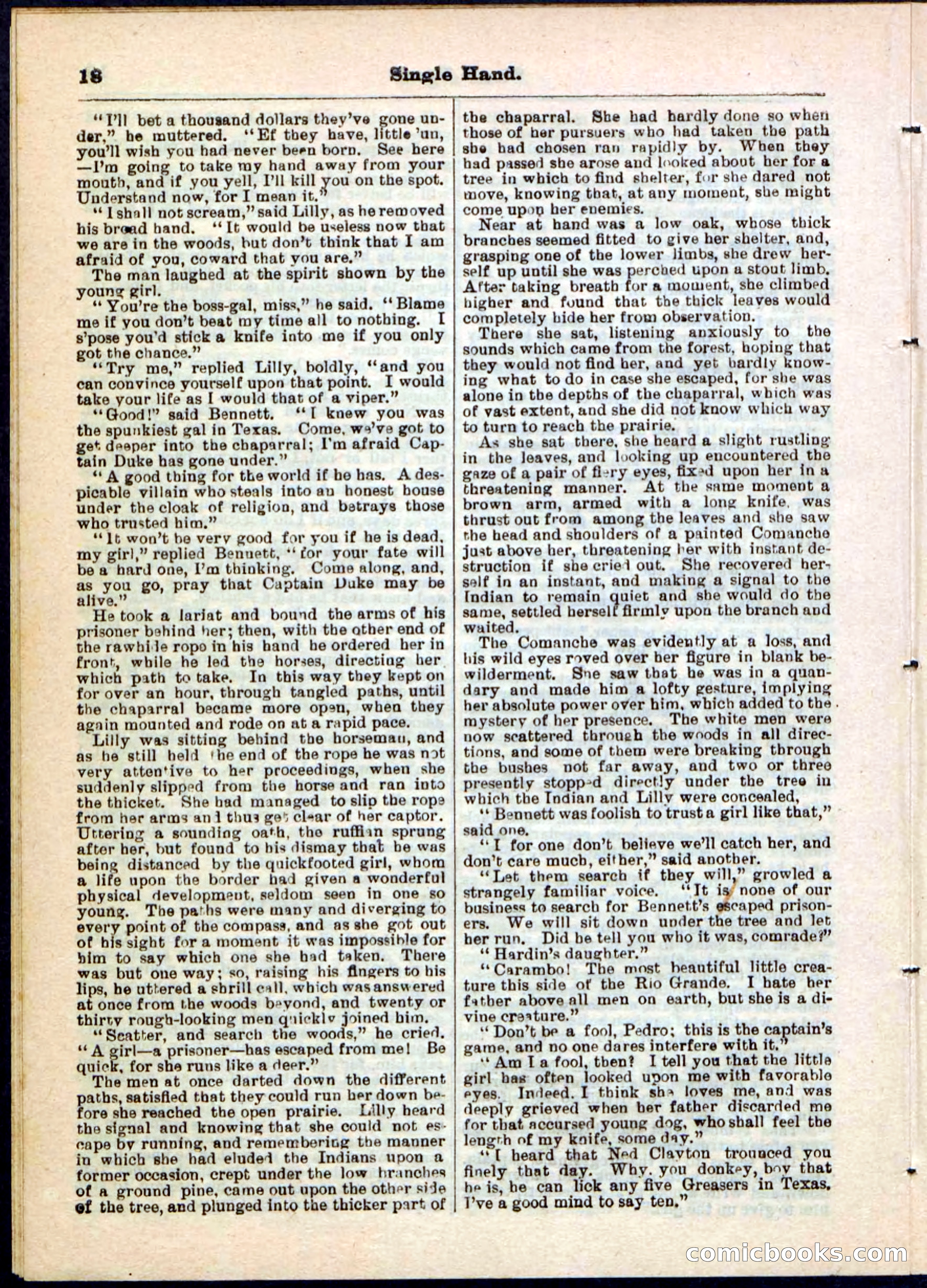 Beadle's Pocket Library No. 50 — page 18 of 32