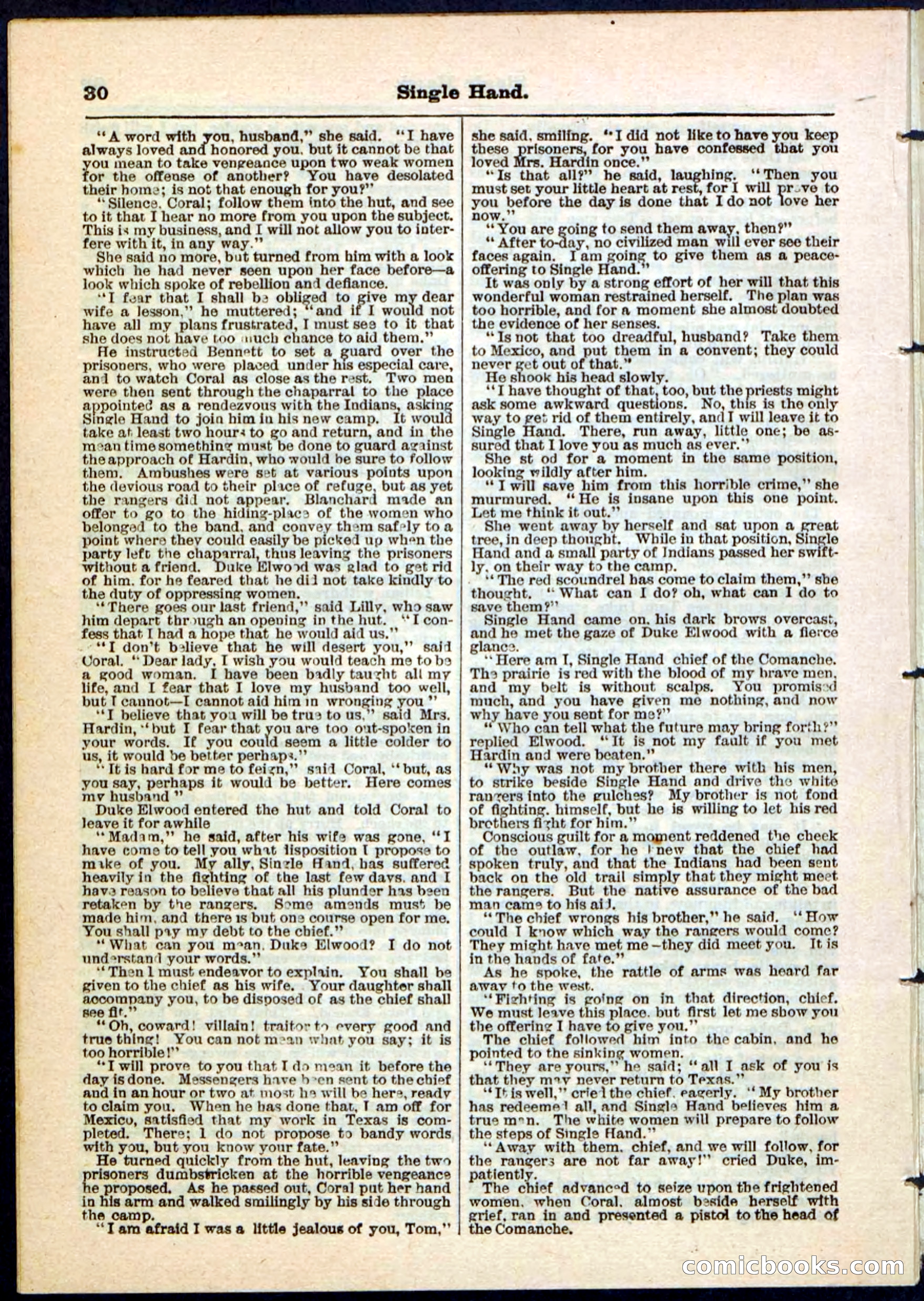 Beadle's Pocket Library No. 50 — page 30 of 32