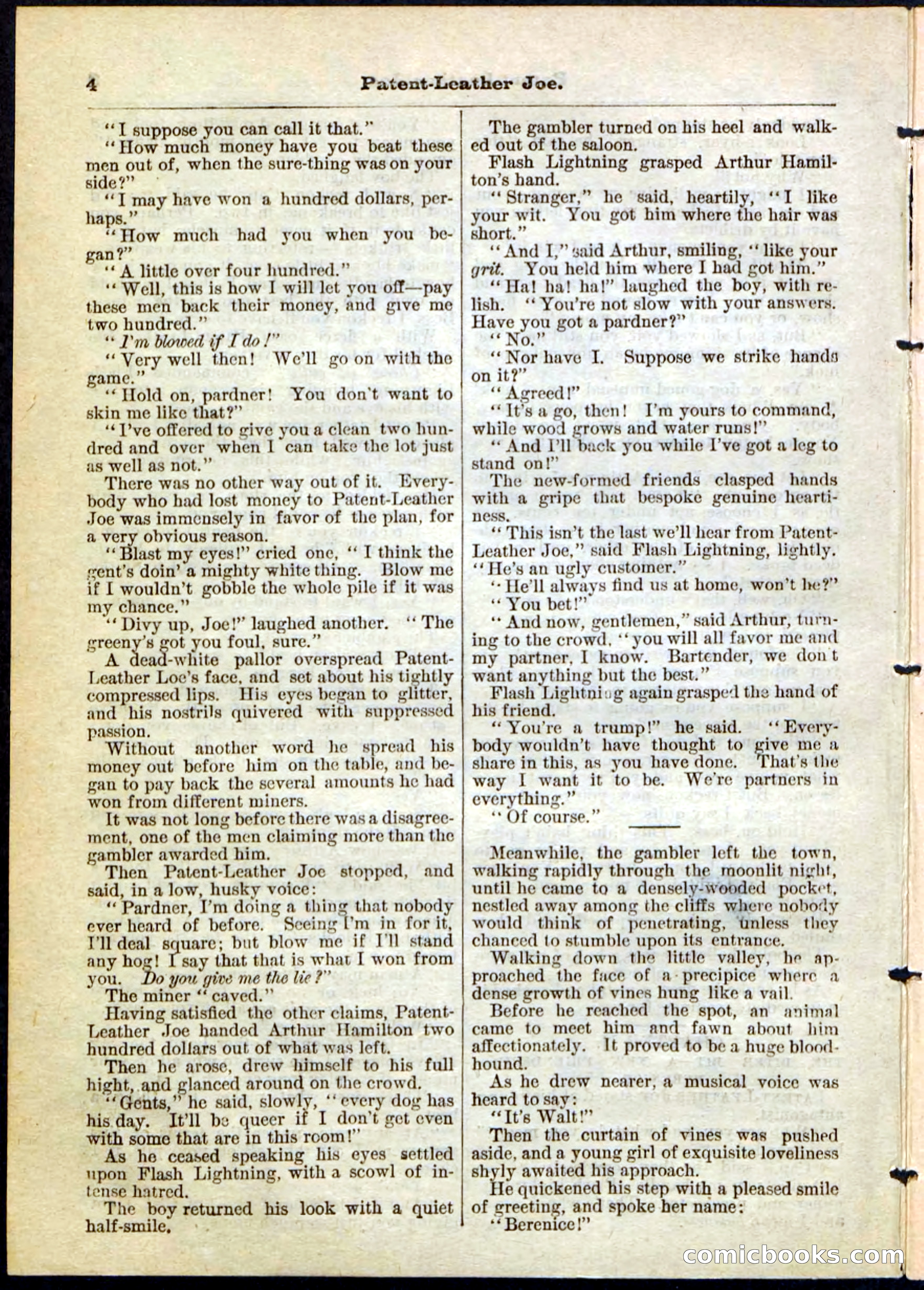 Beadle's Pocket Library No. 51 — page 4 of 32