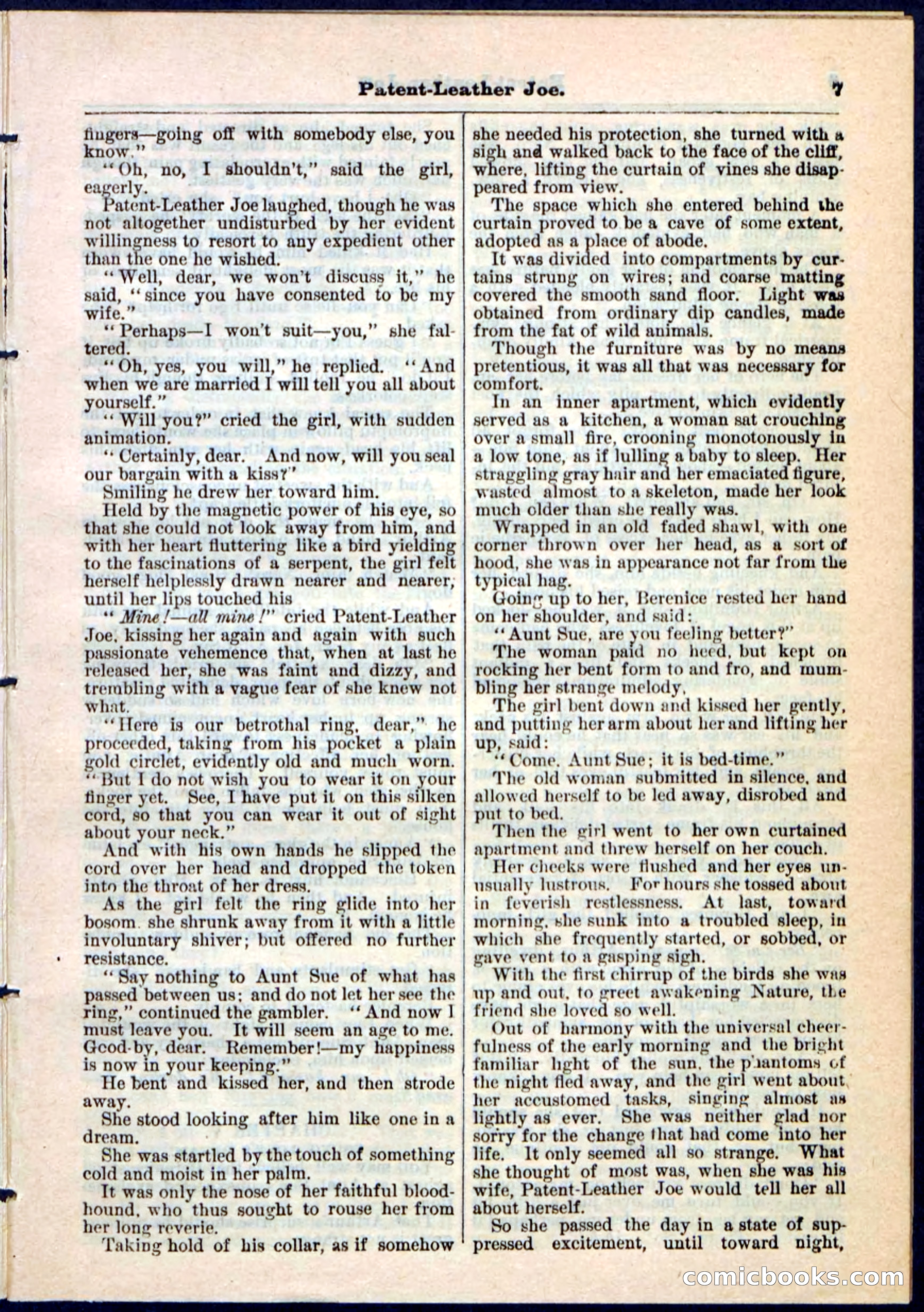 Beadle's Pocket Library No. 51 — page 7 of 32