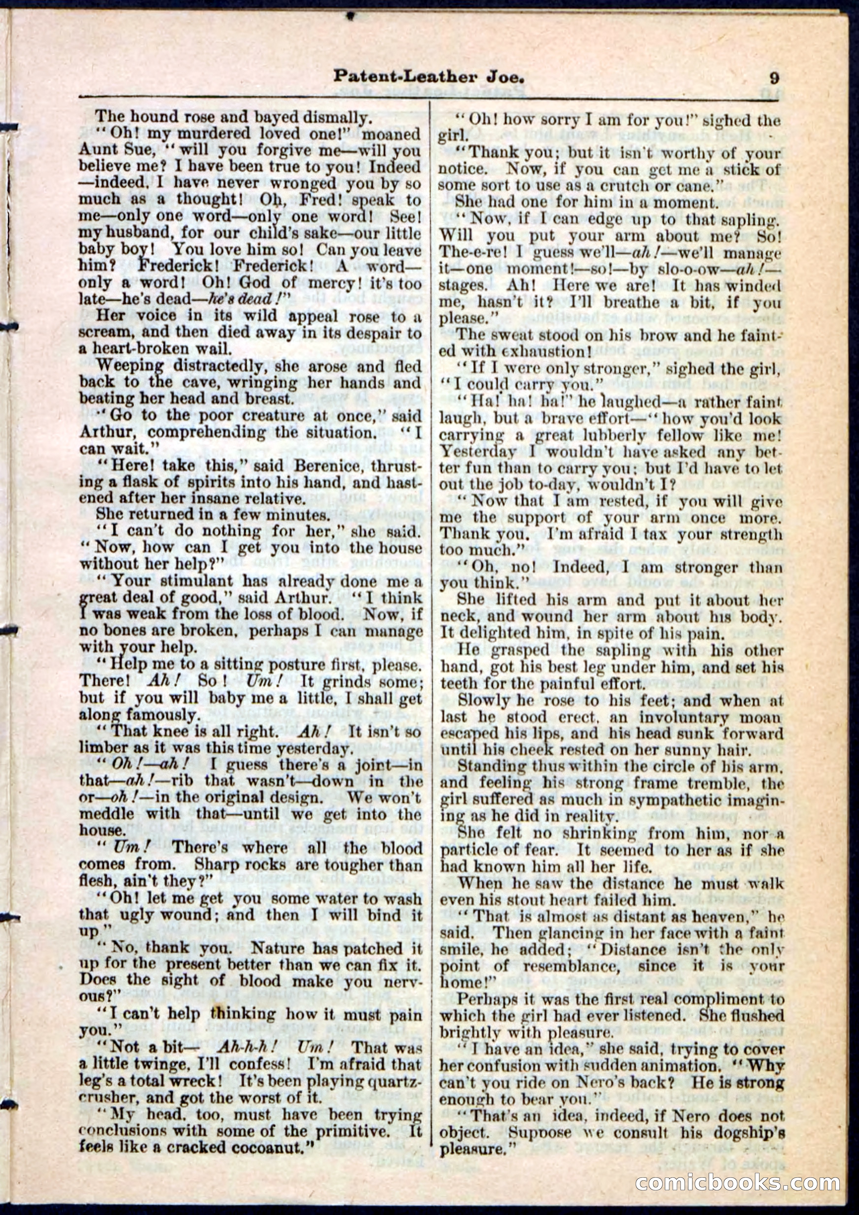 Beadle's Pocket Library No. 51 — page 9 of 32
