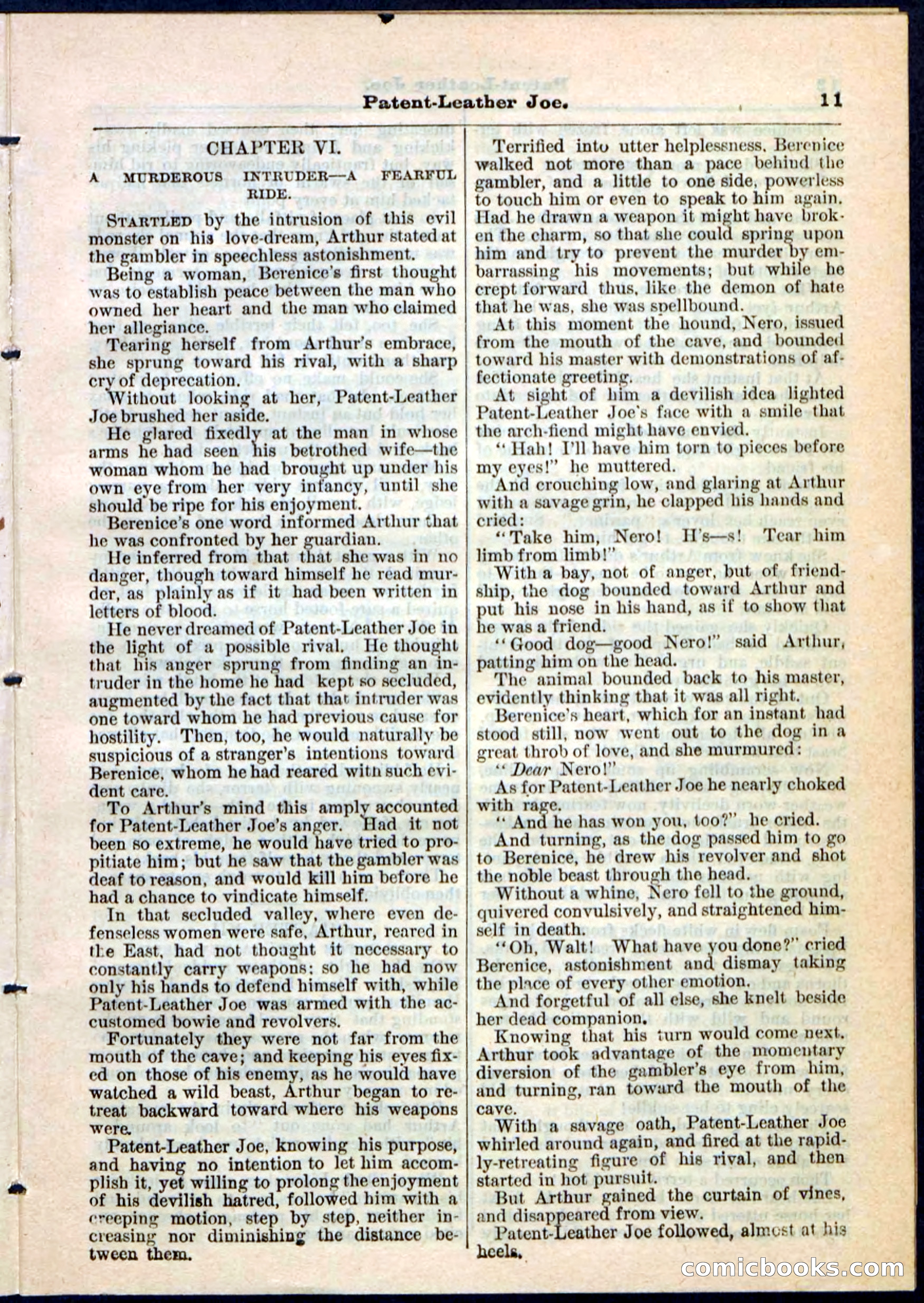 Beadle's Pocket Library No. 51 — page 11 of 32