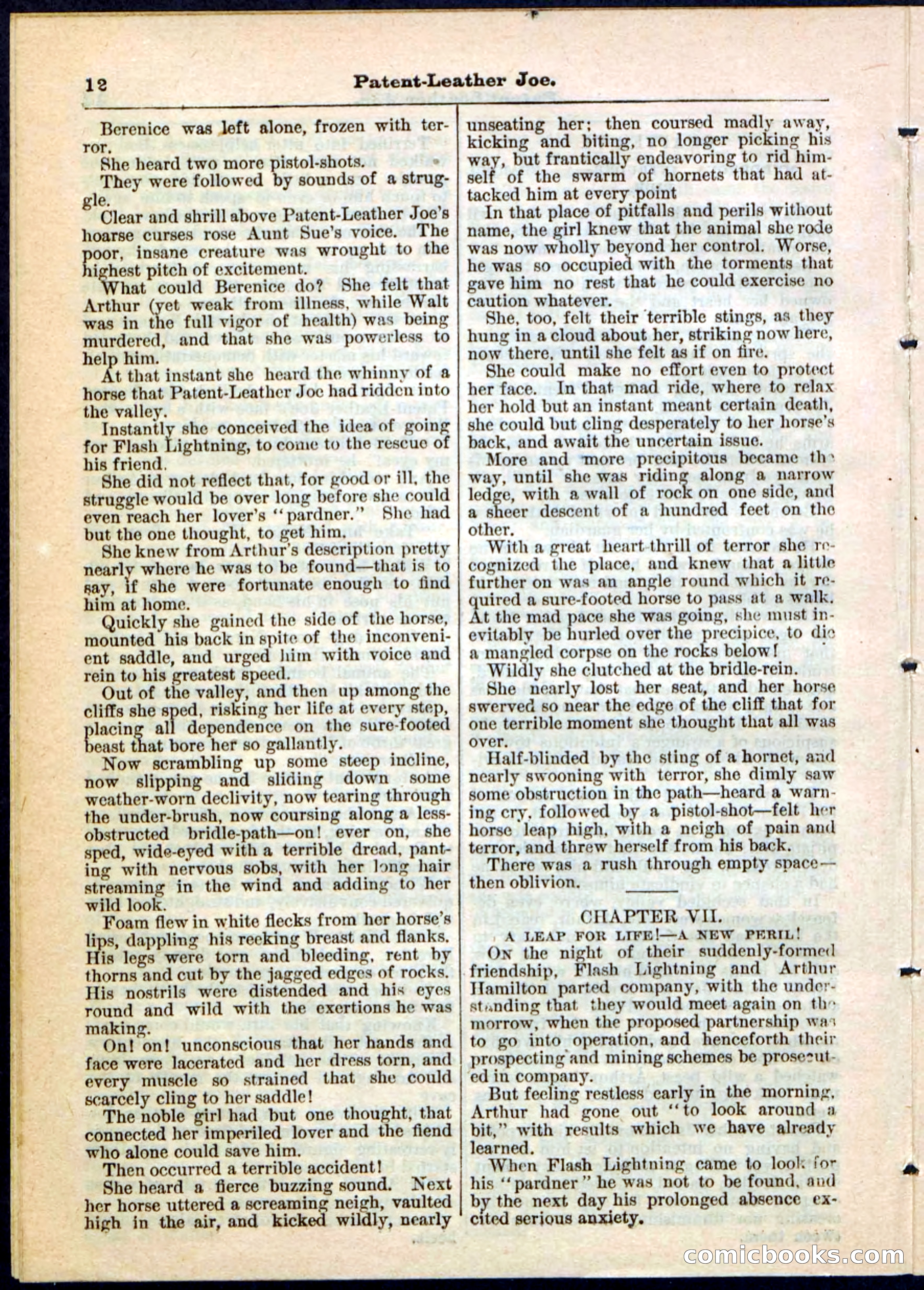 Beadle's Pocket Library No. 51 — page 12 of 32