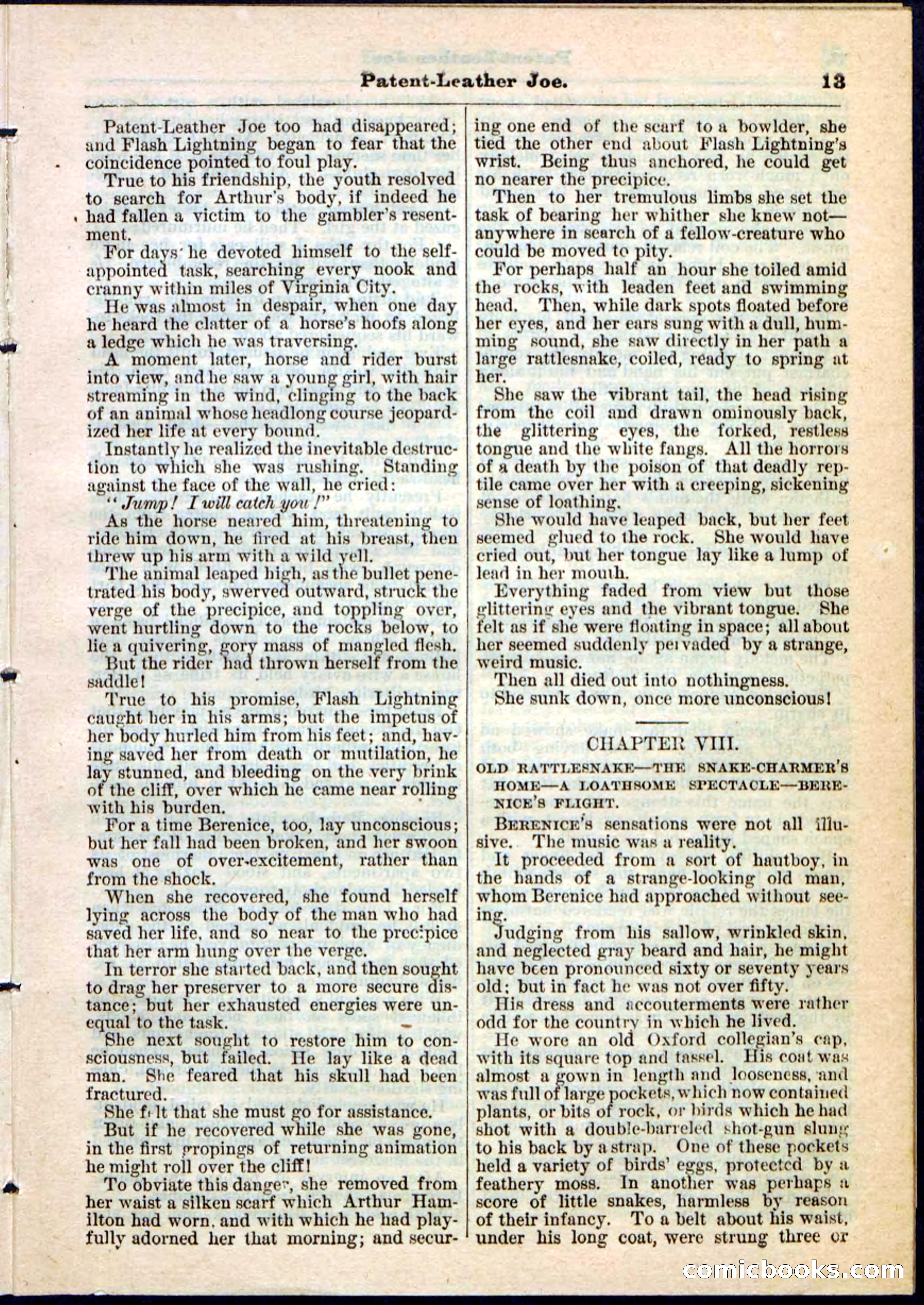 Beadle's Pocket Library No. 51 — page 13 of 32