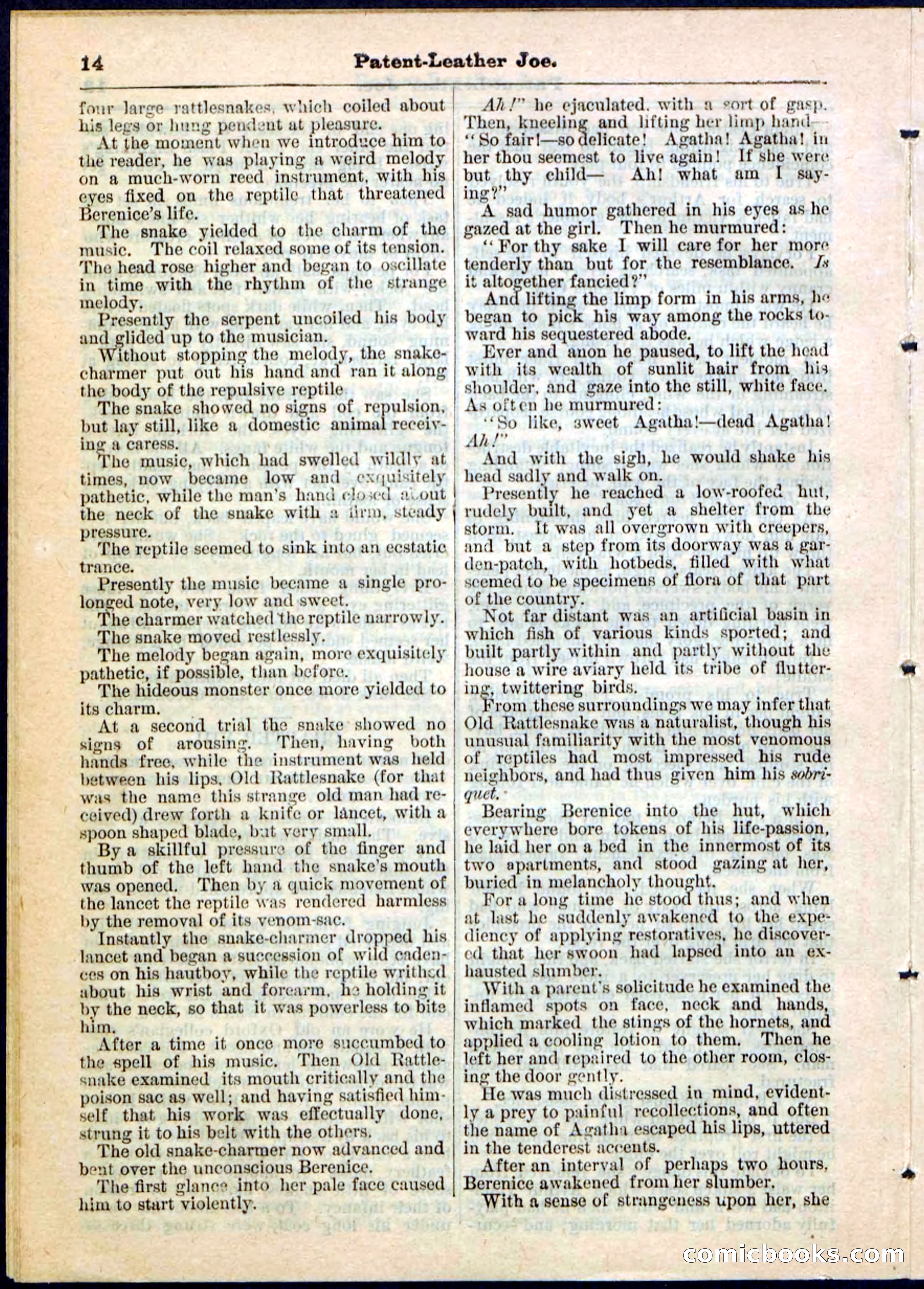 Beadle's Pocket Library No. 51 — page 14 of 32