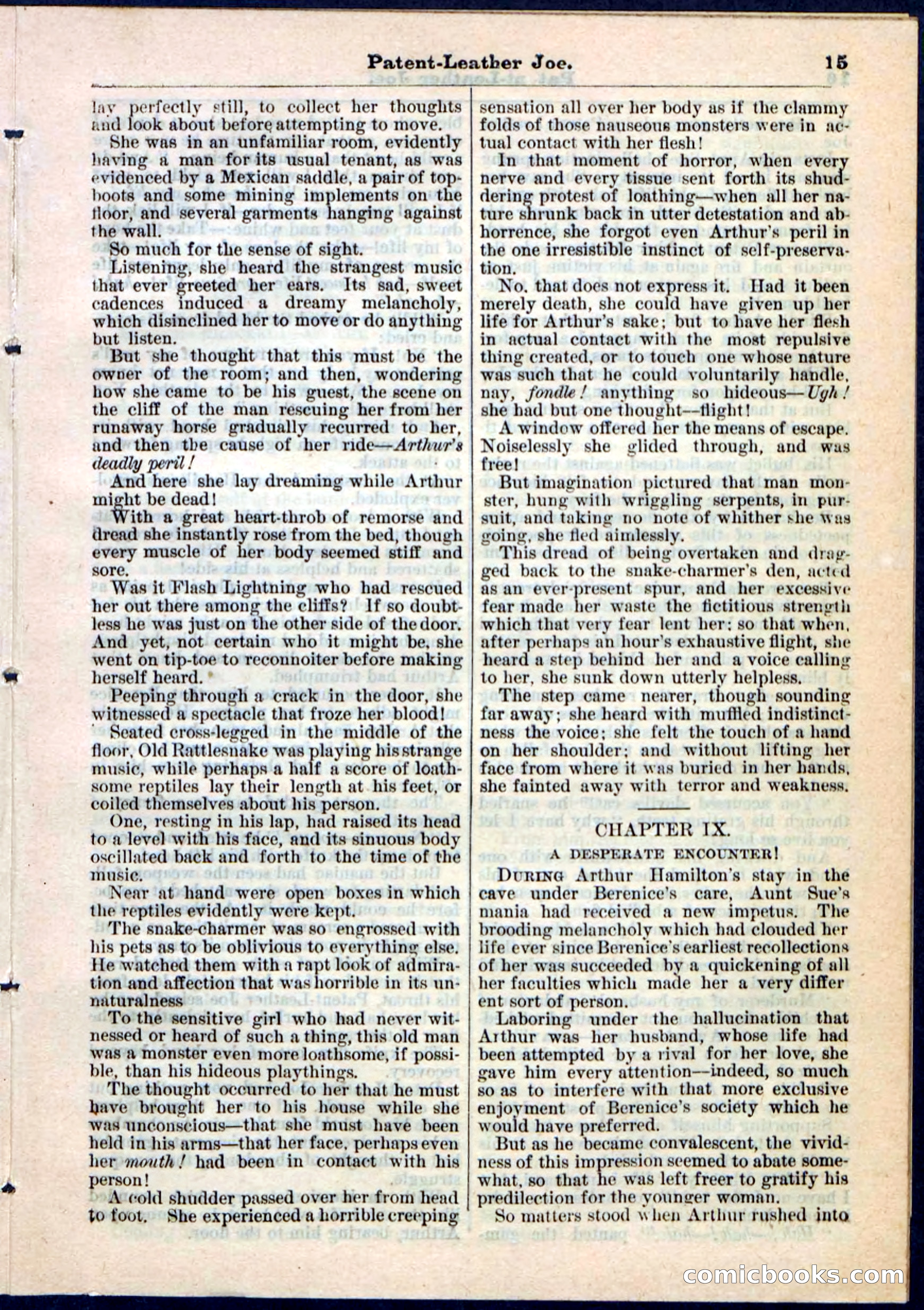 Beadle's Pocket Library No. 51 — page 15 of 32