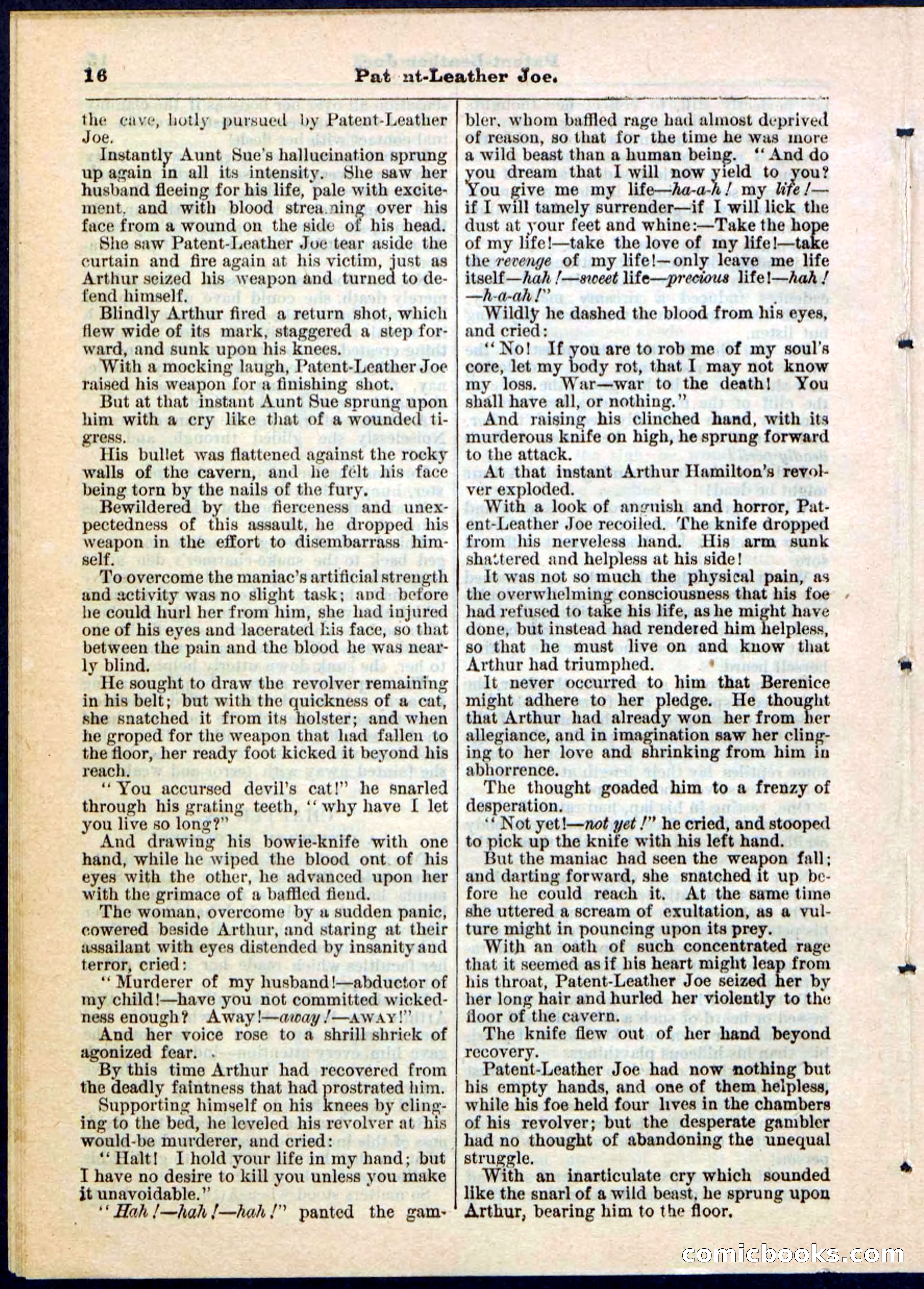 Beadle's Pocket Library No. 51 — page 16 of 32