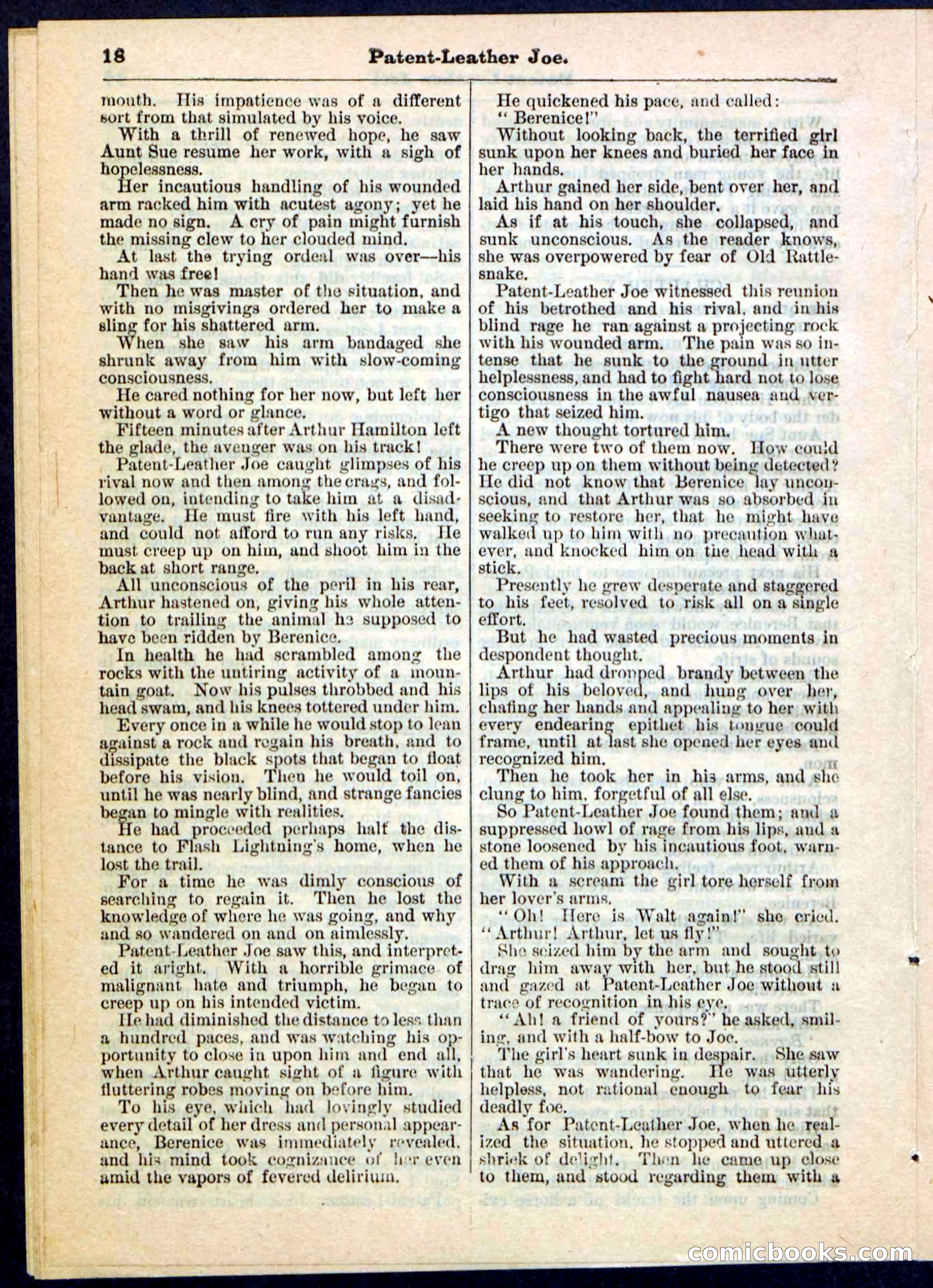 Beadle's Pocket Library No. 51 — page 18 of 32