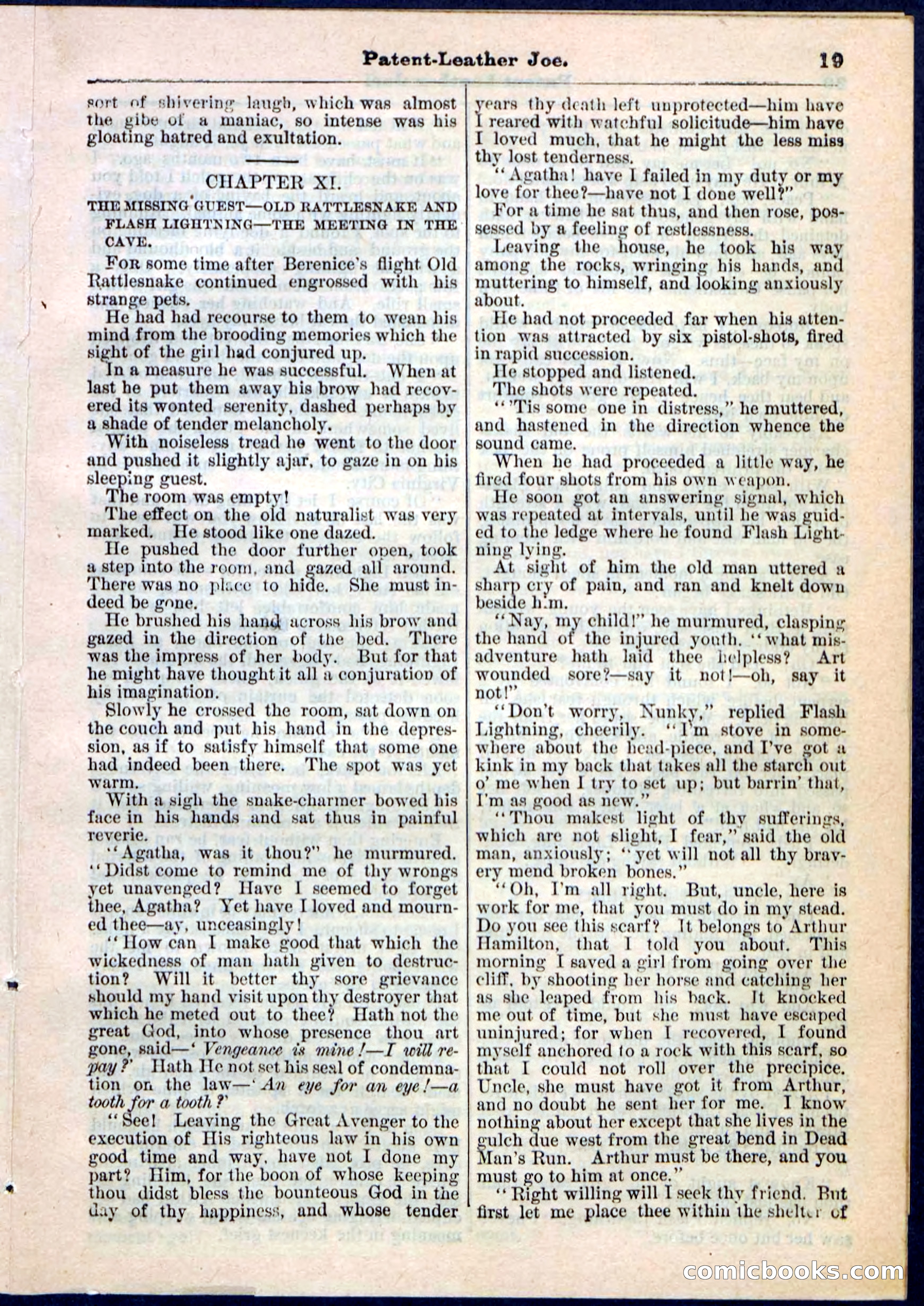 Beadle's Pocket Library No. 51 — page 19 of 32