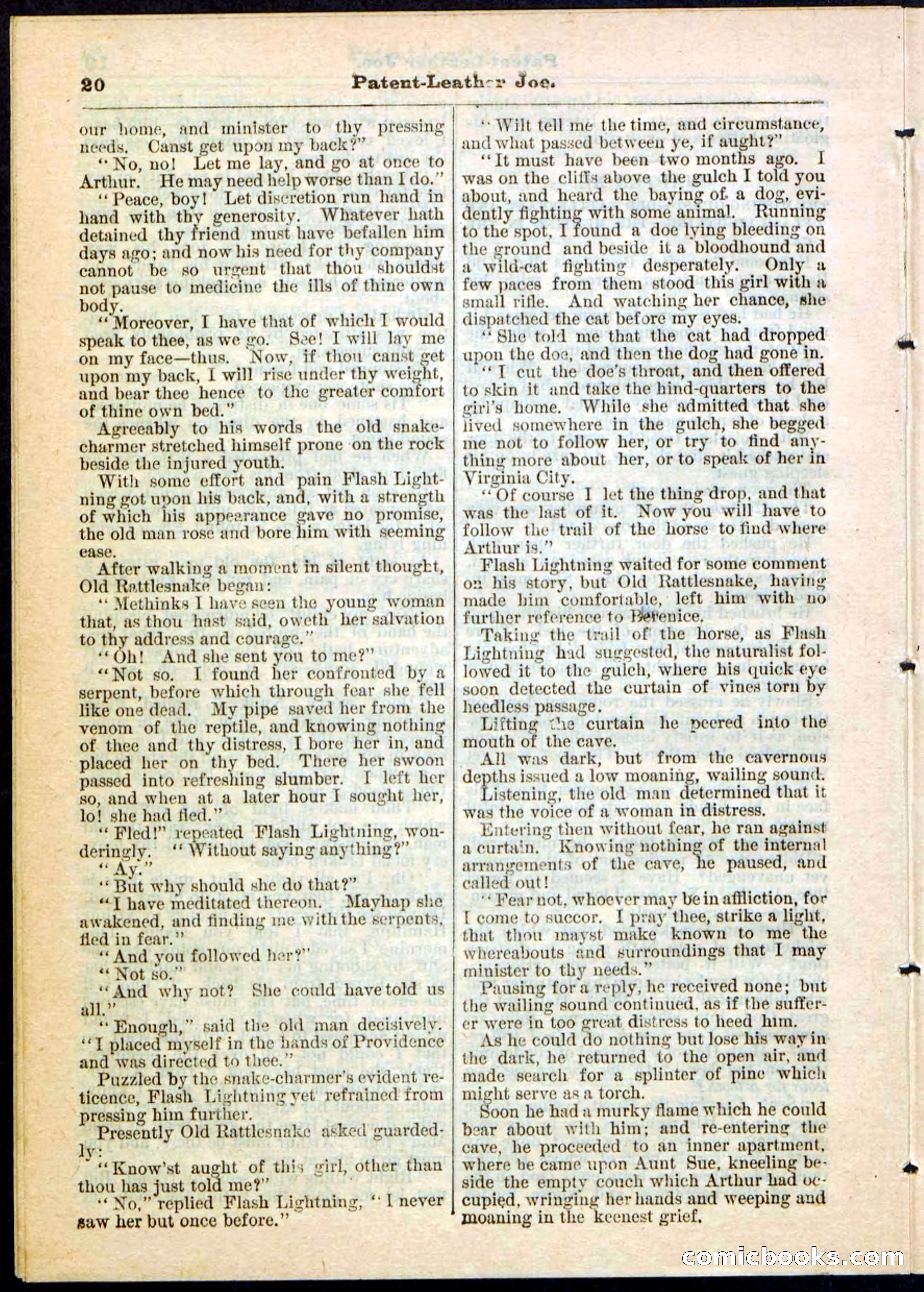 Beadle's Pocket Library No. 51 — page 20 of 32