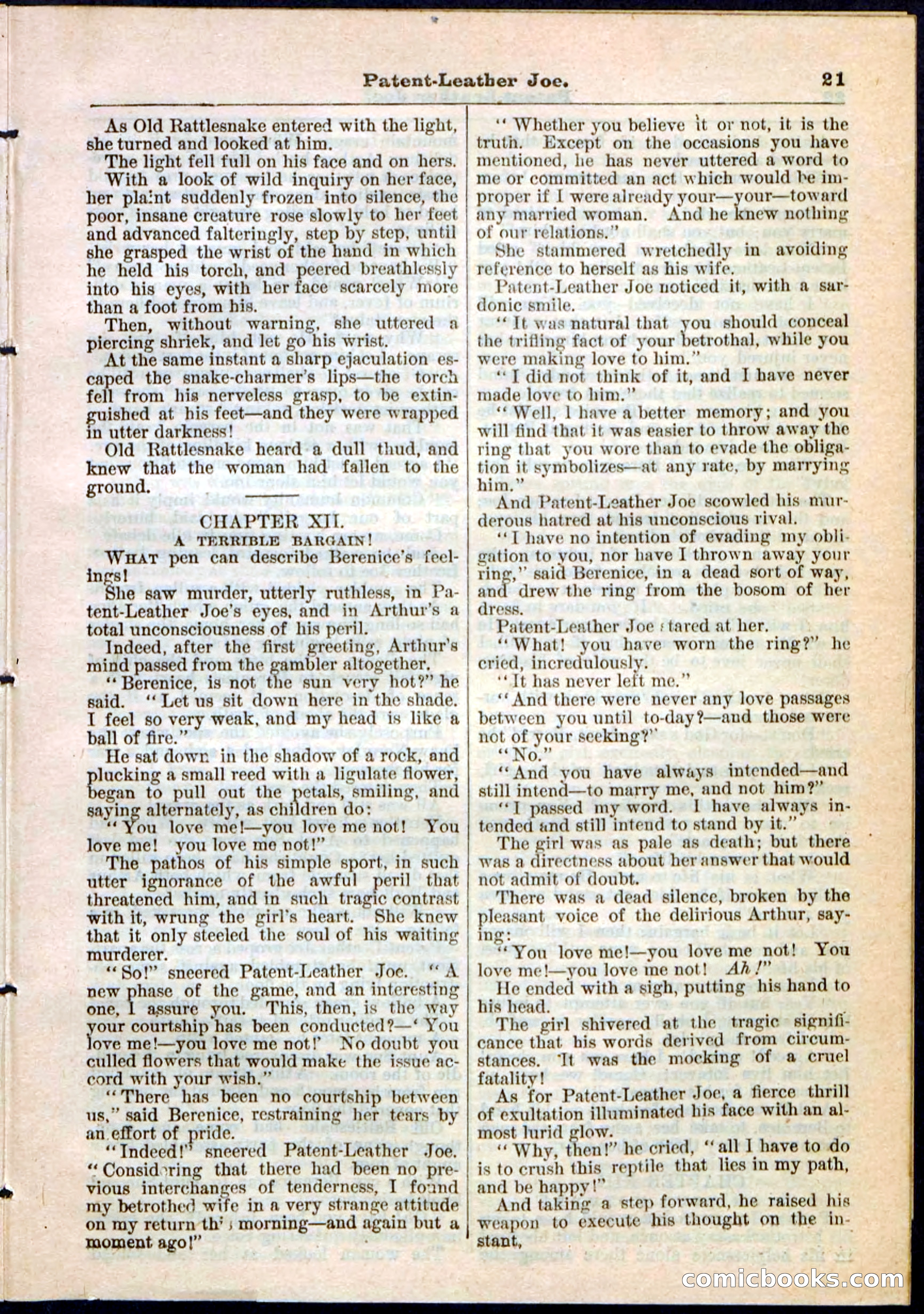Beadle's Pocket Library No. 51 — page 21 of 32
