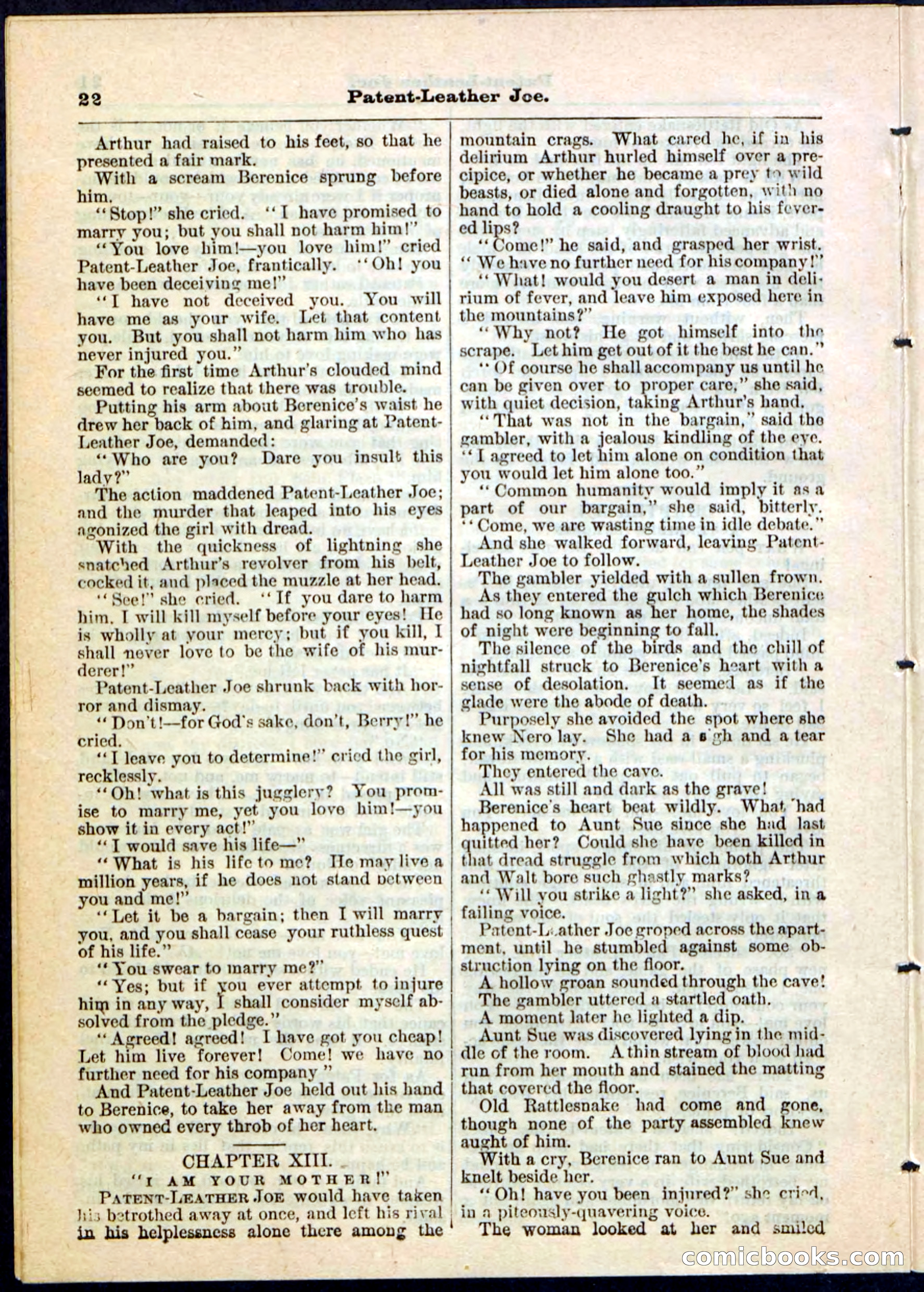 Beadle's Pocket Library No. 51 — page 22 of 32