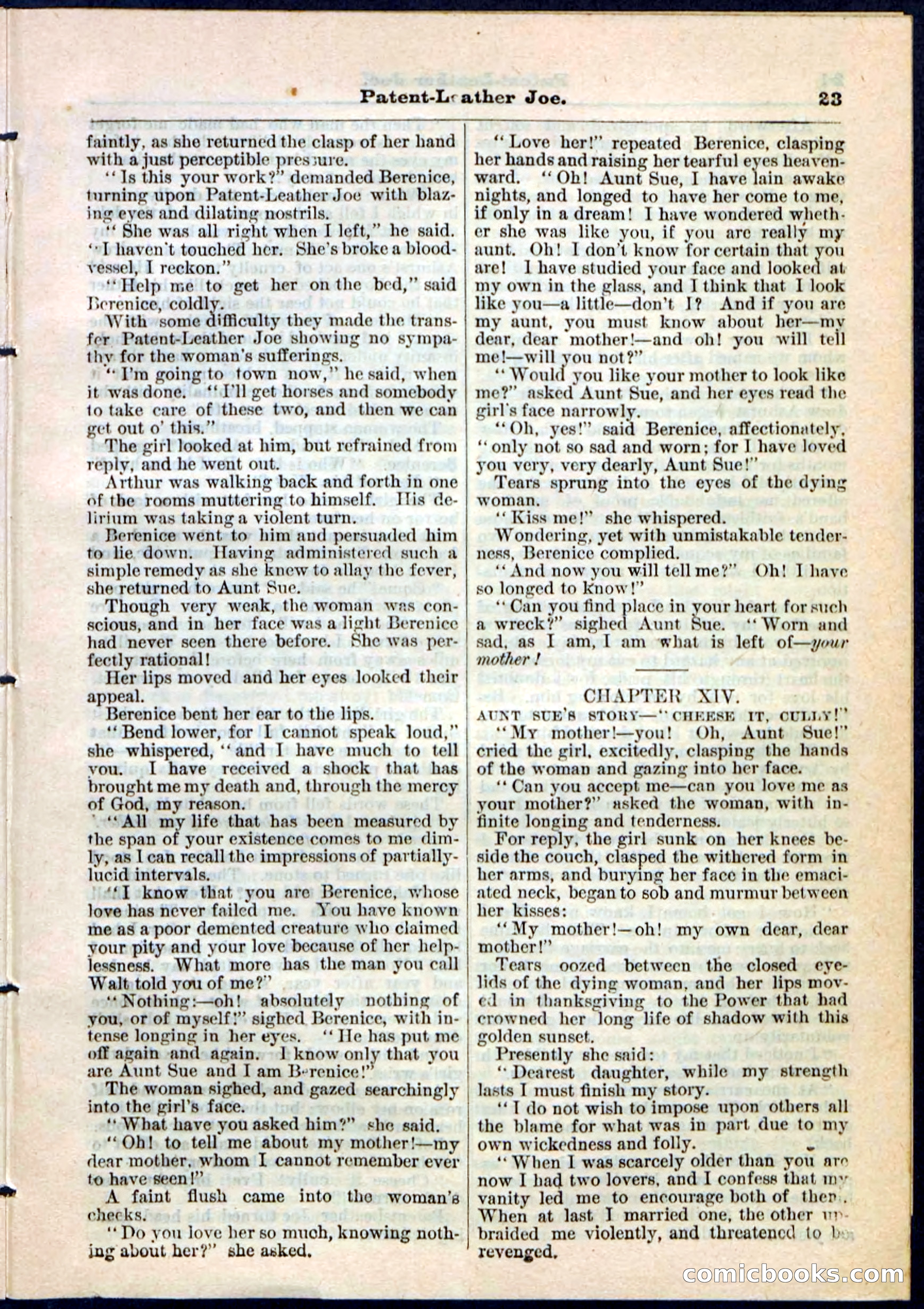 Beadle's Pocket Library No. 51 — page 23 of 32