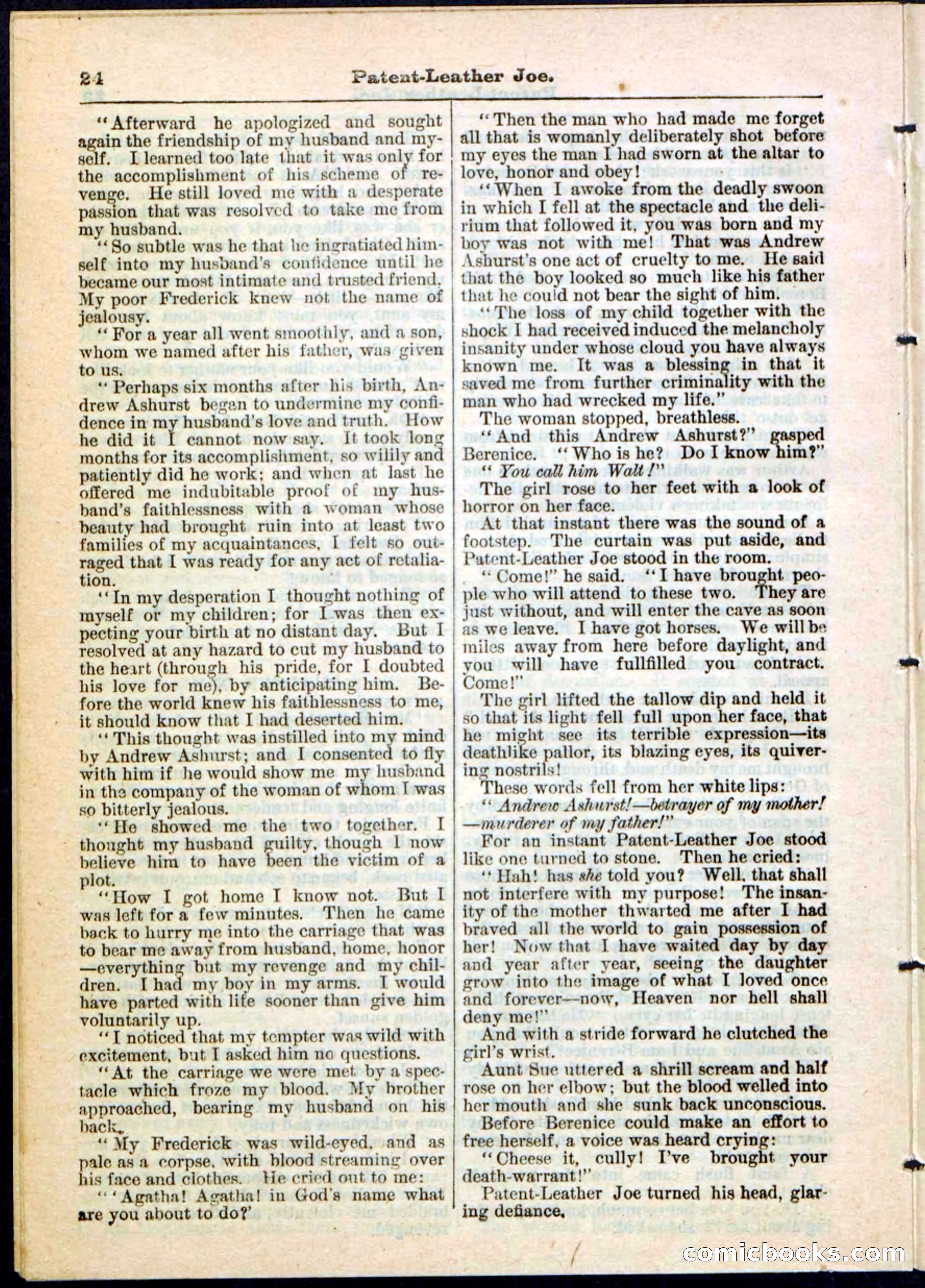 Beadle's Pocket Library No. 51 — page 24 of 32