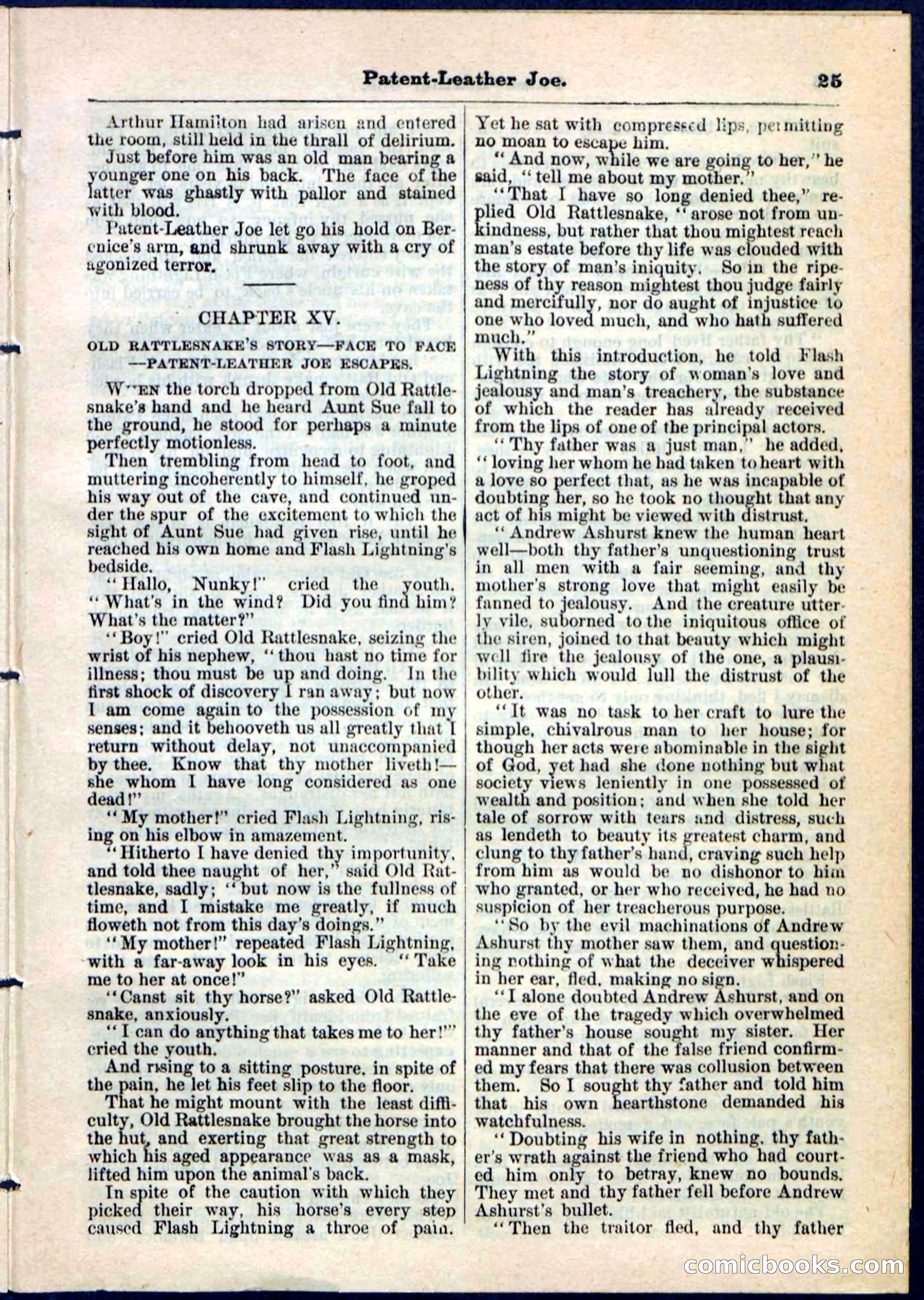 Beadle's Pocket Library No. 51 — page 25 of 32