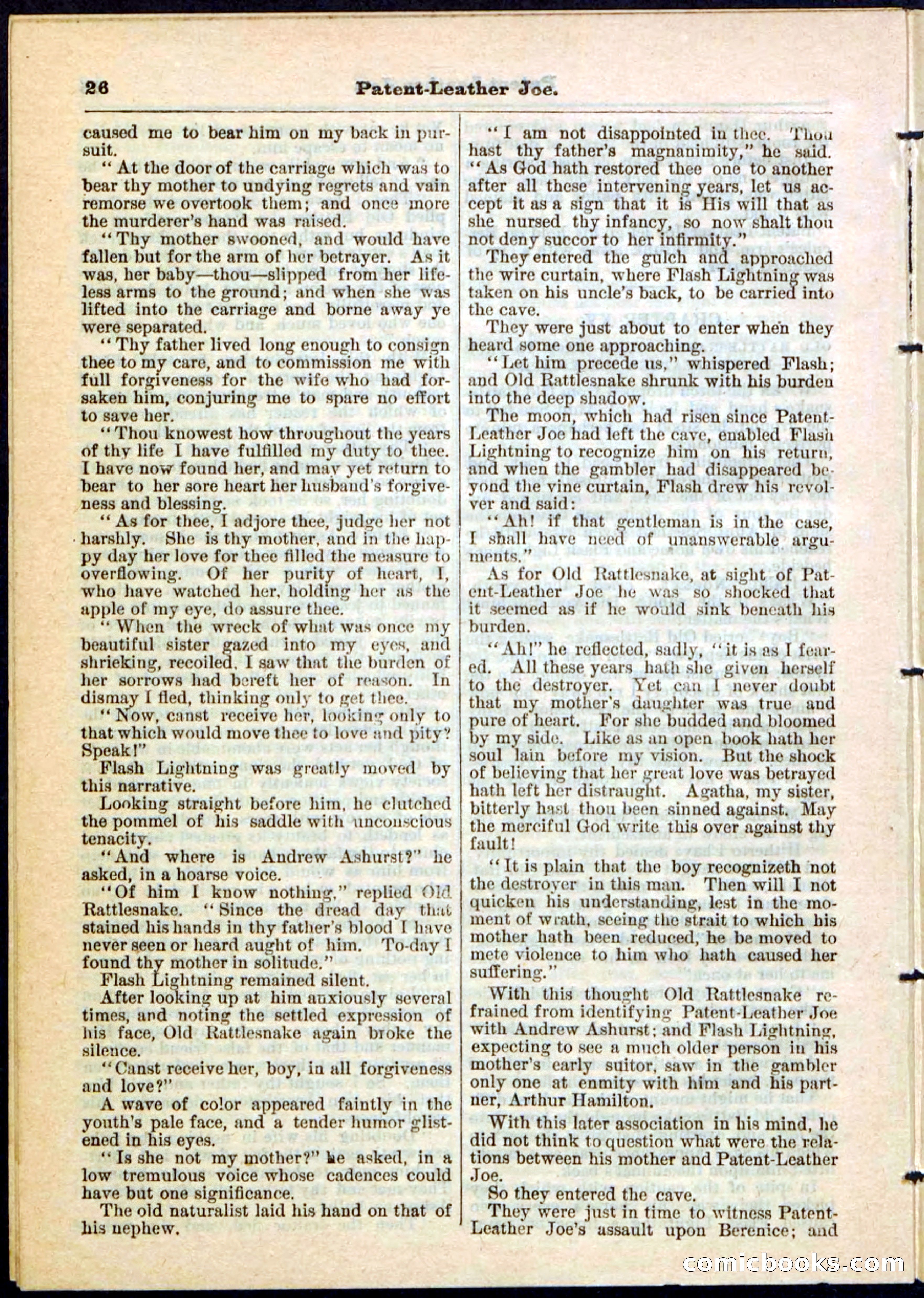 Beadle's Pocket Library No. 51 — page 26 of 32