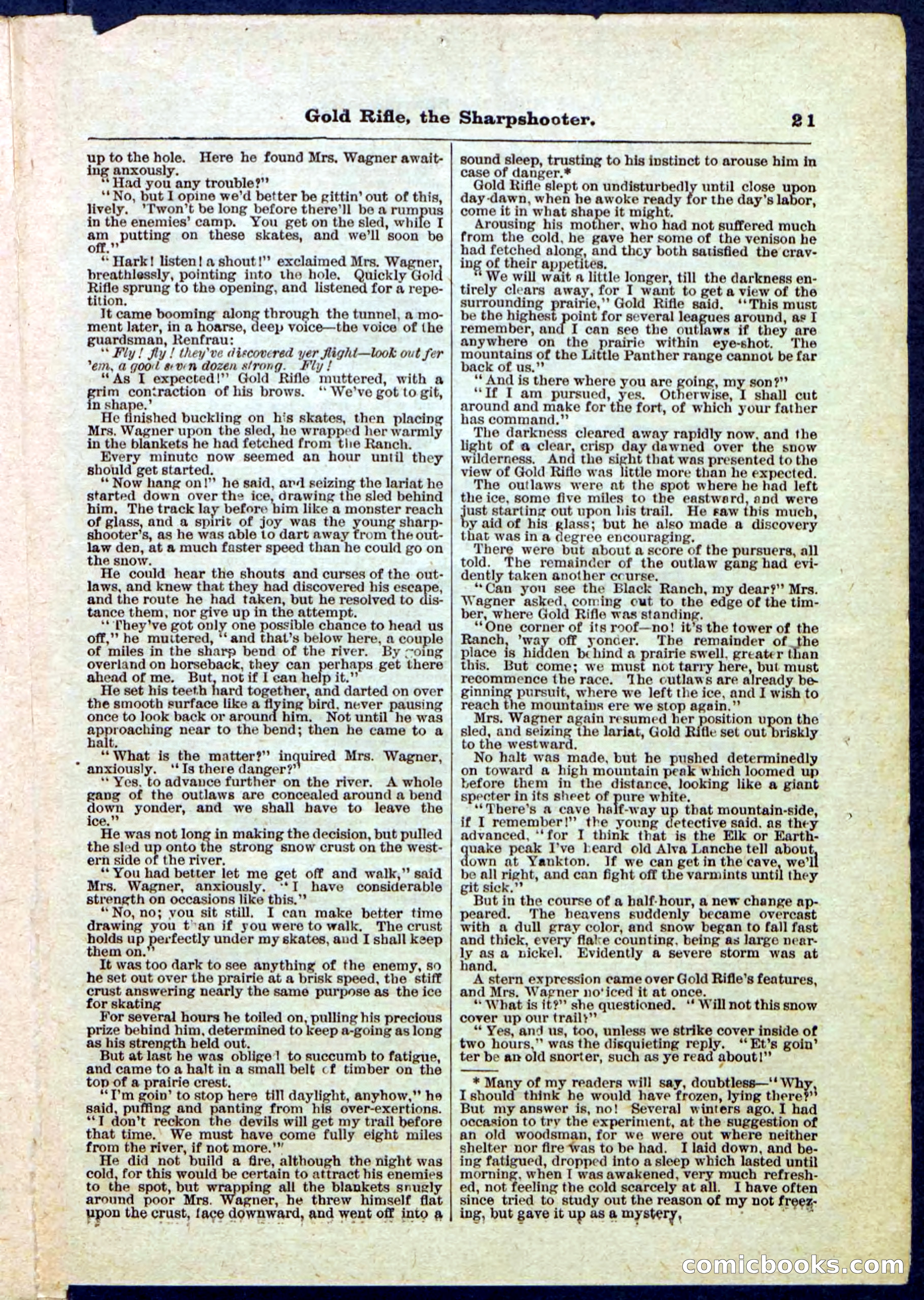 Beadle's Pocket Library, No. 53 — page 21 of 32