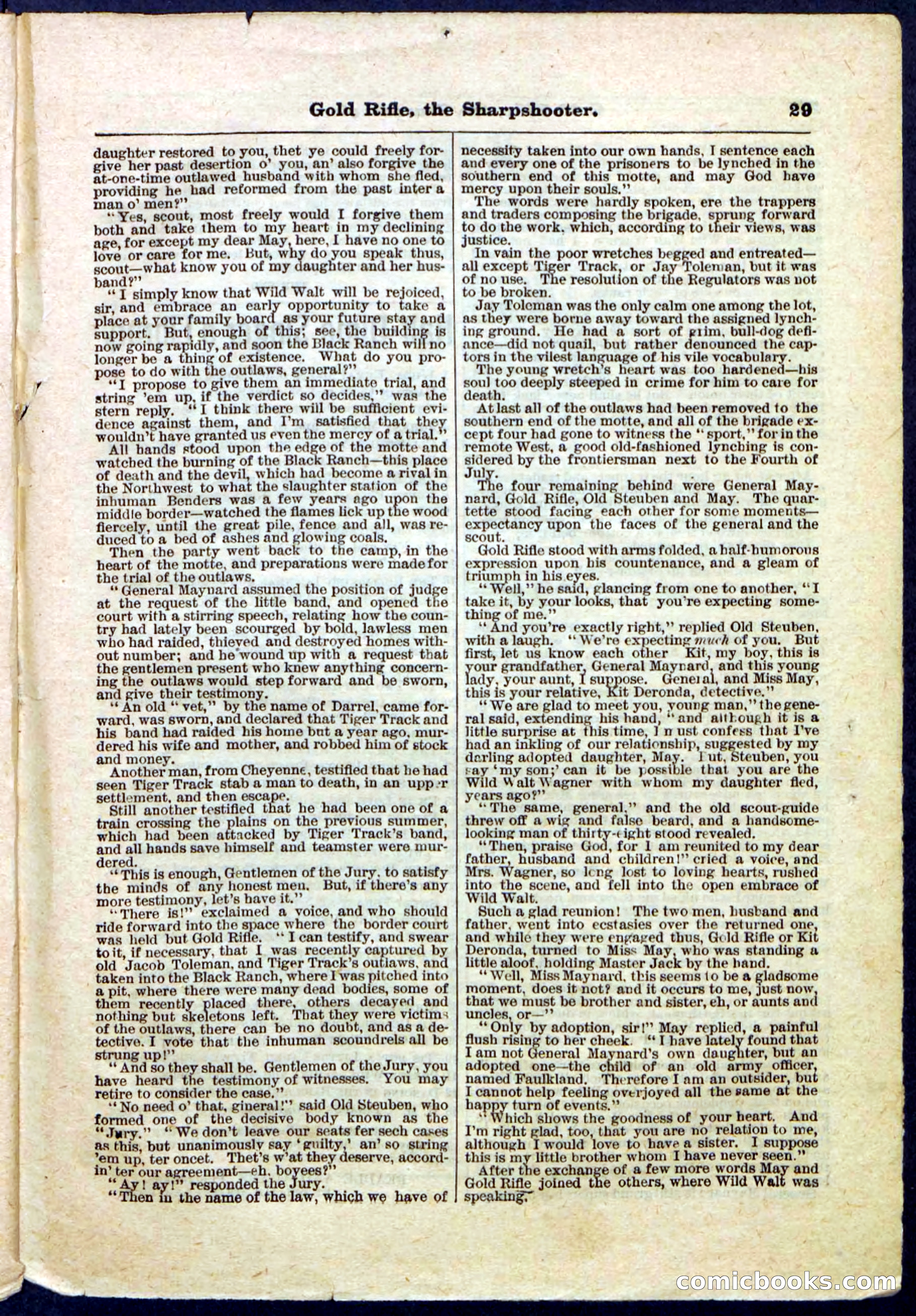Beadle's Pocket Library, No. 53 — page 29 of 32