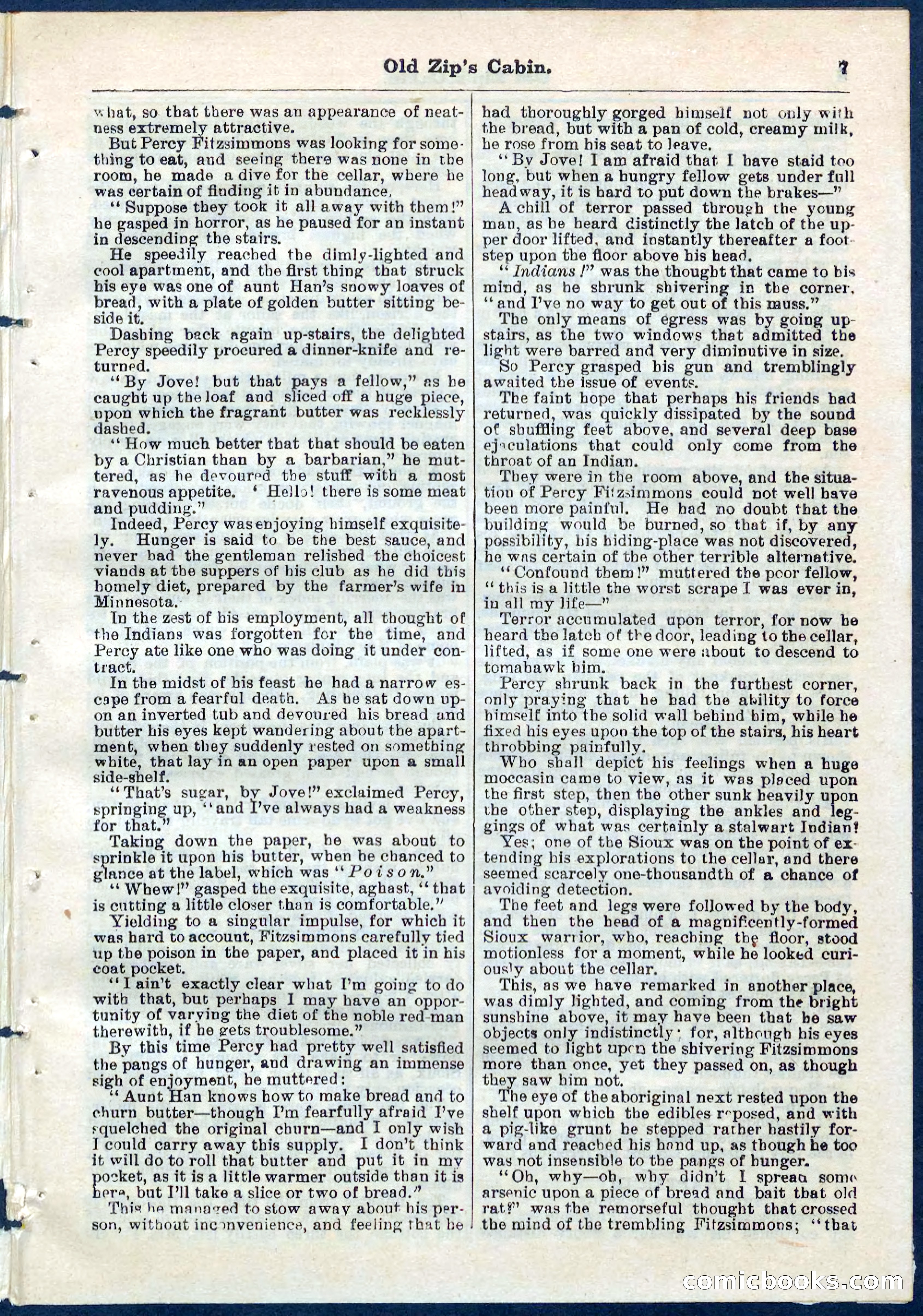 Beadle's Pocket Library No. 54 — page 7 of 32