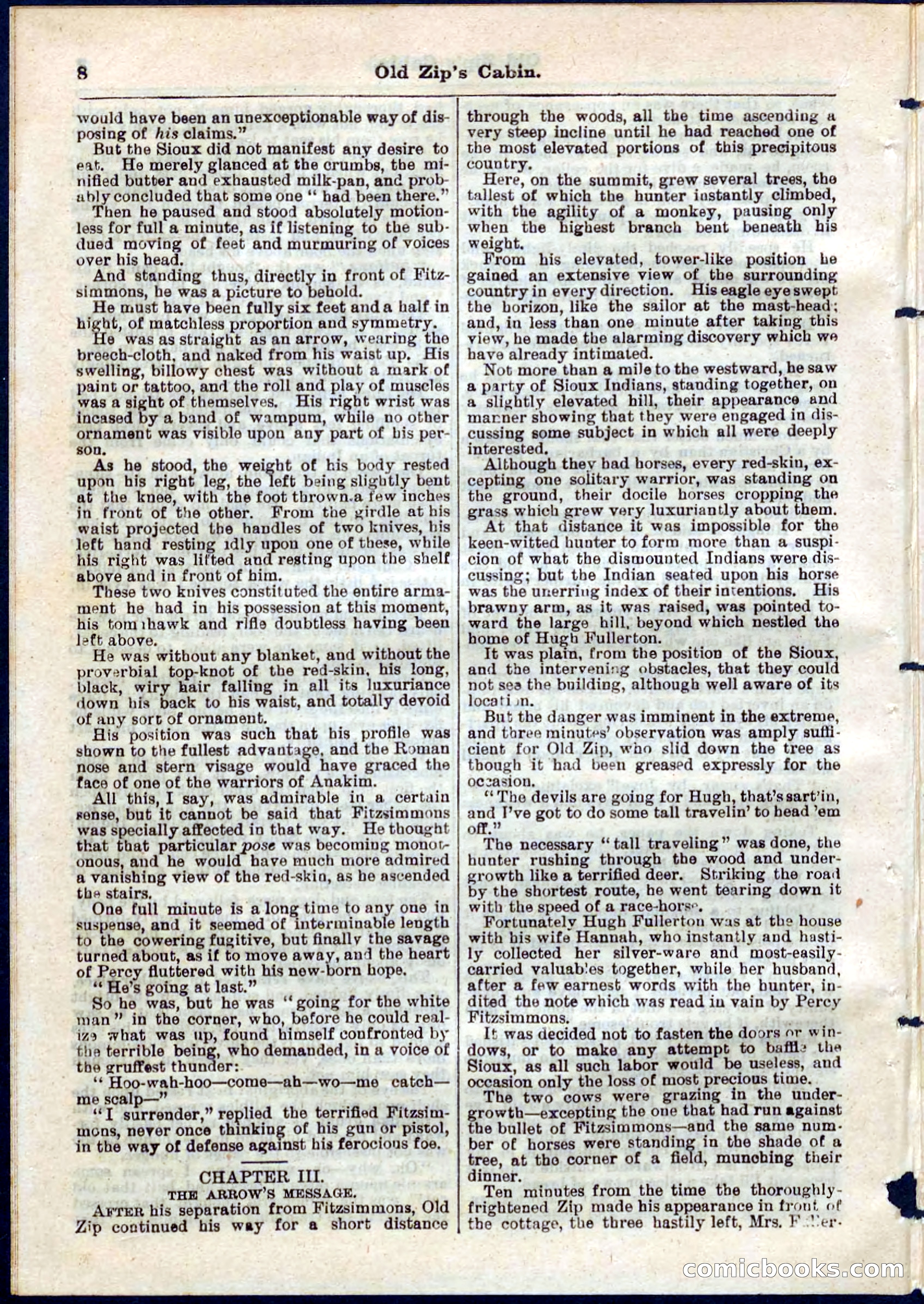 Beadle's Pocket Library No. 54 — page 8 of 32