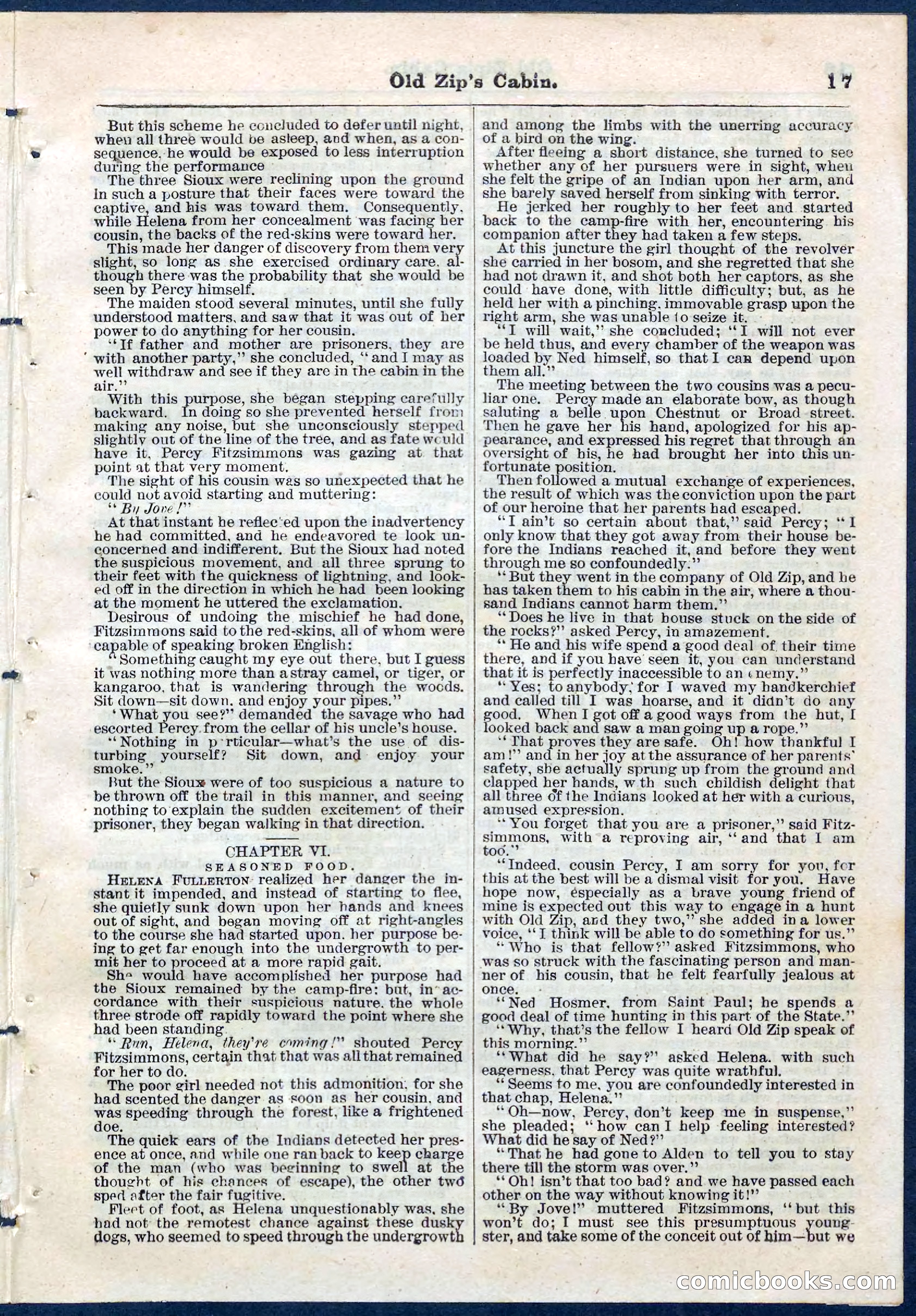 Beadle's Pocket Library No. 54 — page 17 of 32
