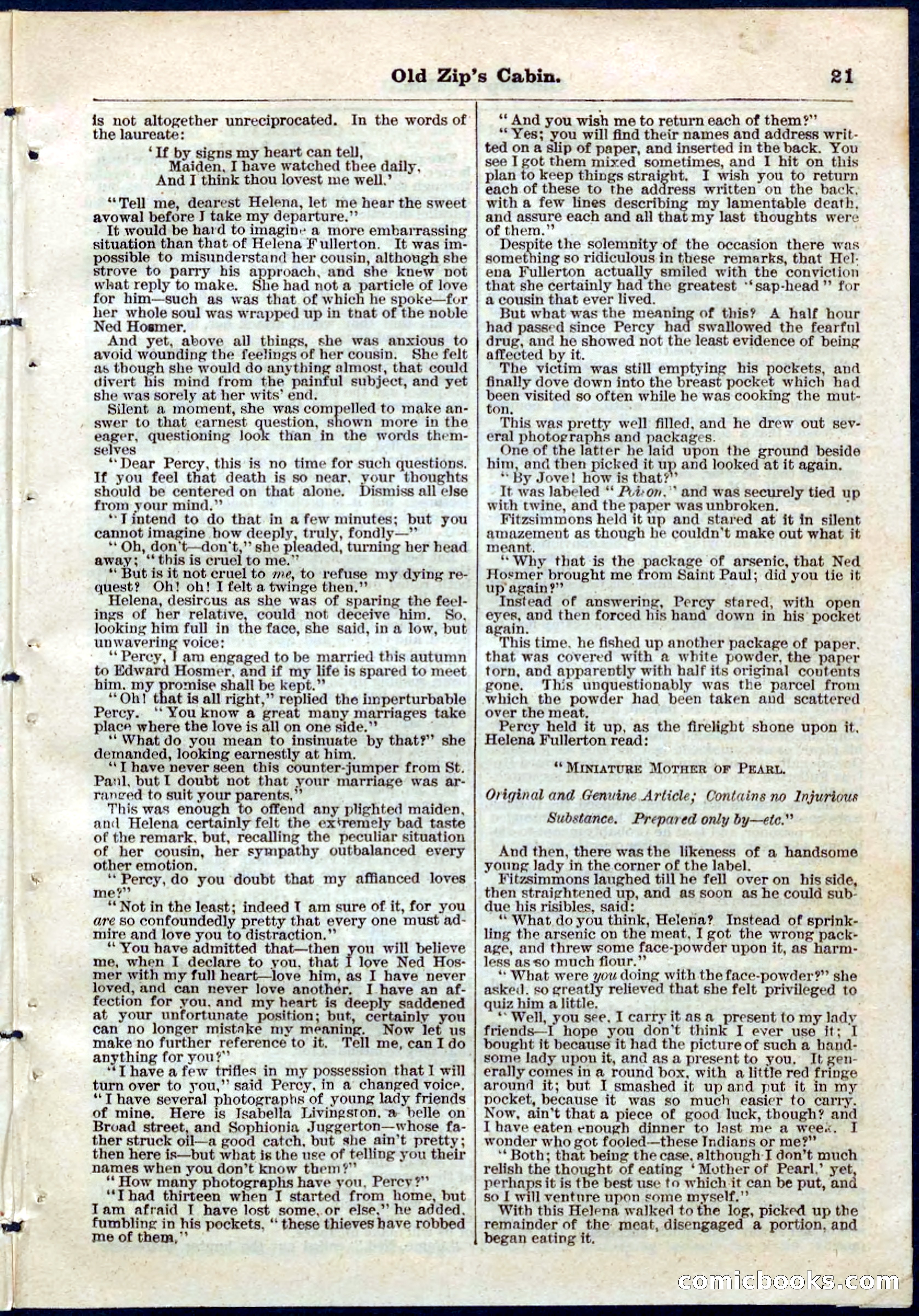 Beadle's Pocket Library No. 54 — page 21 of 32