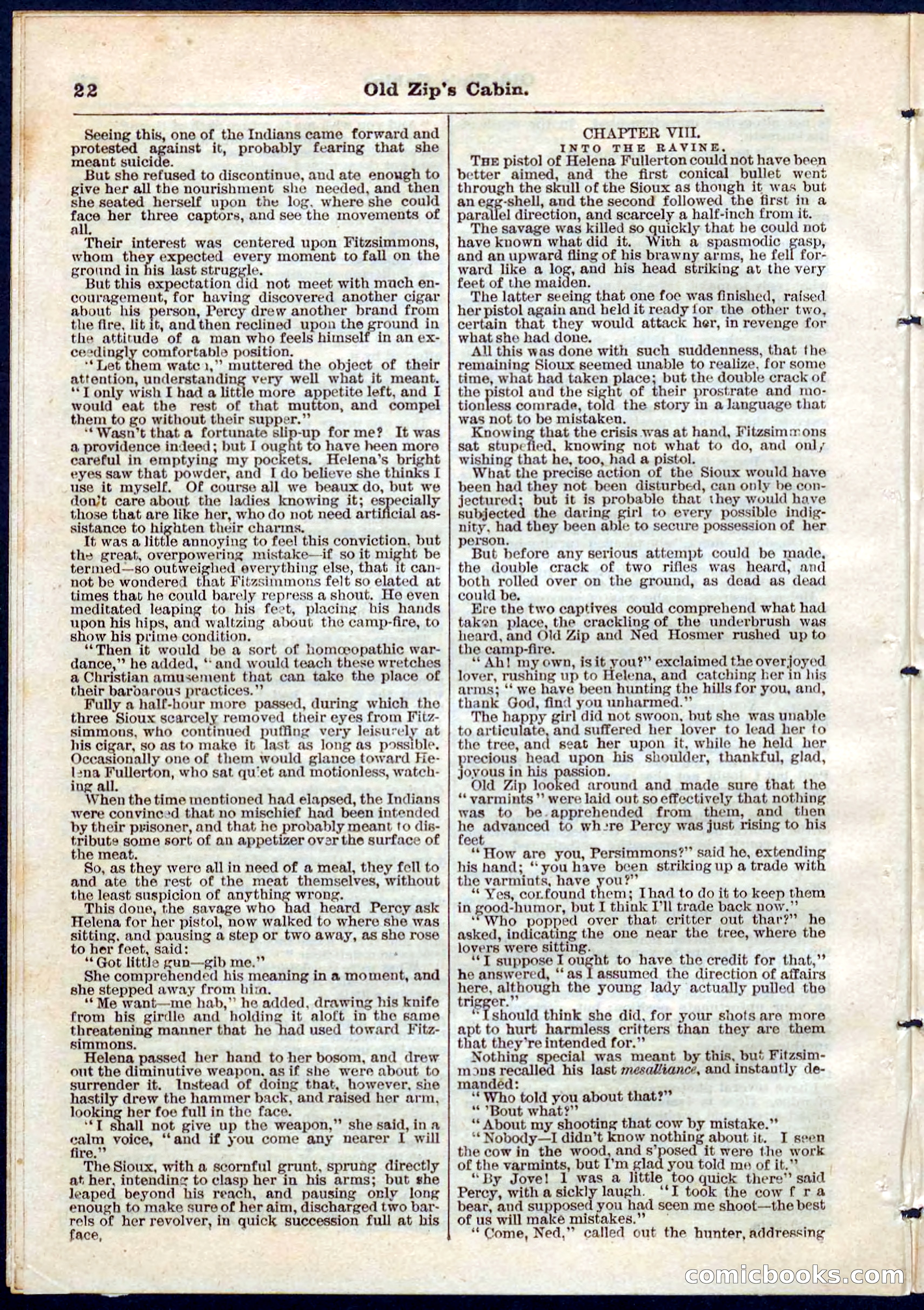 Beadle's Pocket Library No. 54 — page 22 of 32