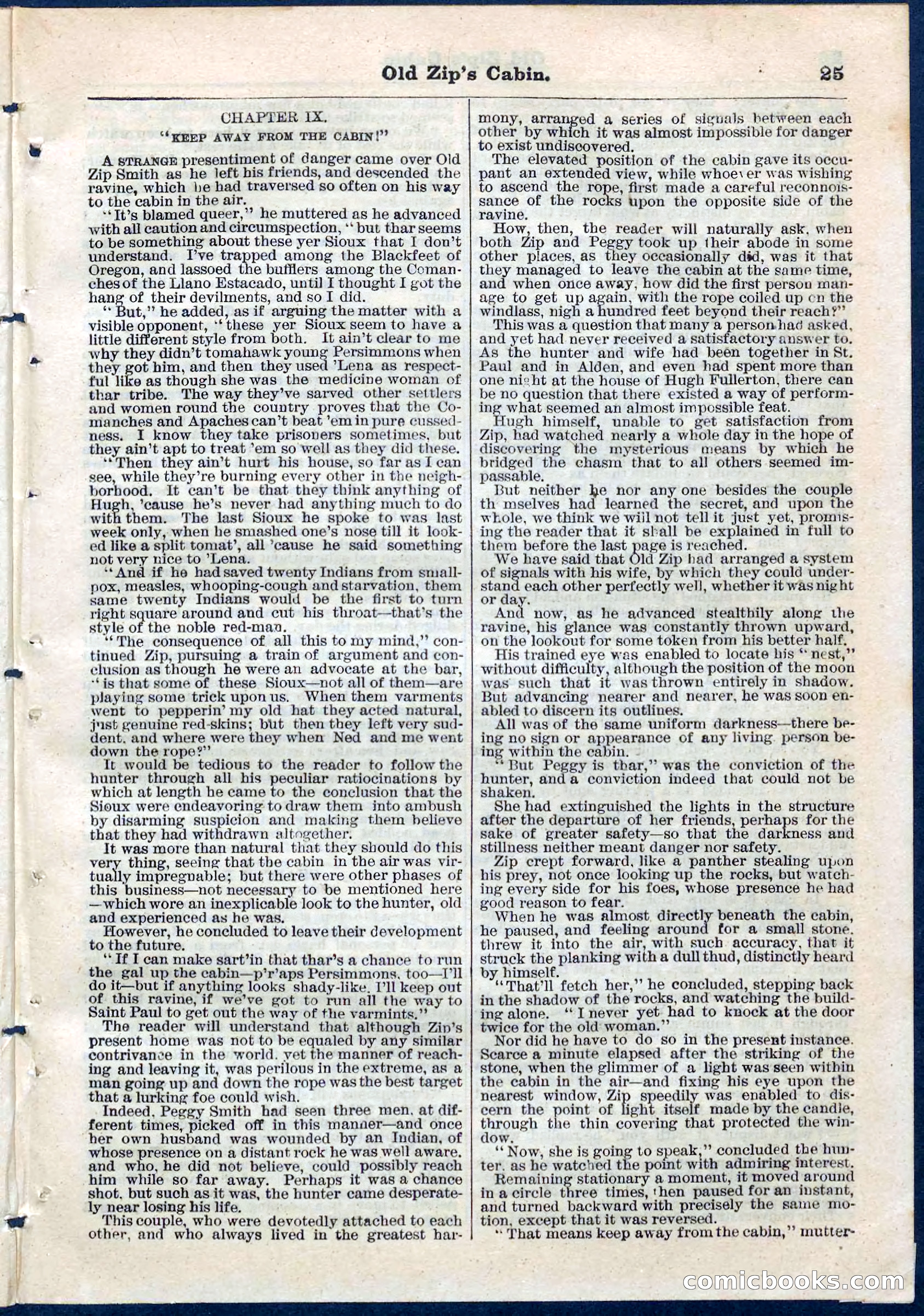 Beadle's Pocket Library No. 54 — page 25 of 32