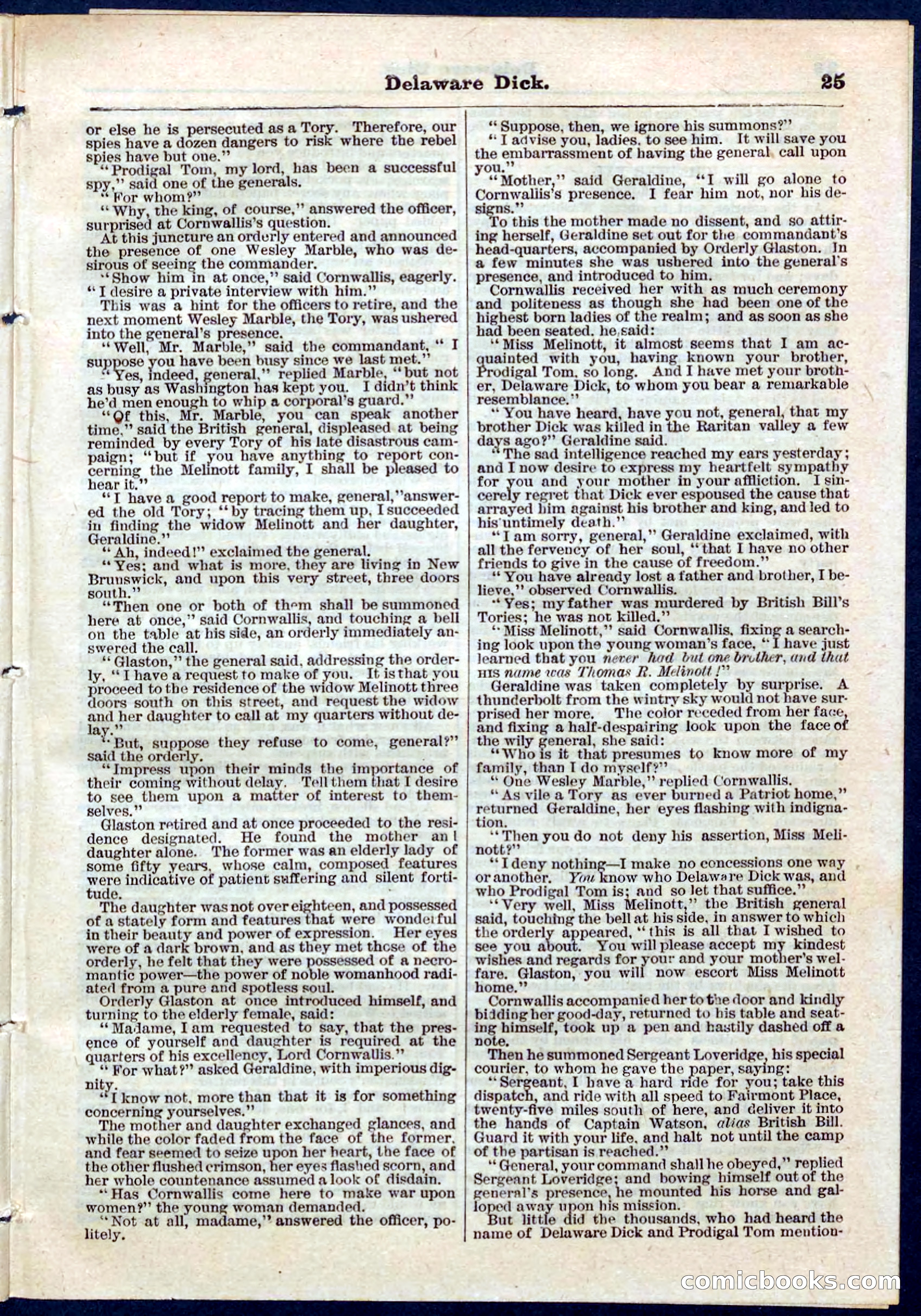 Beadle's Pocket Library, No. 55 — page 25 of 32