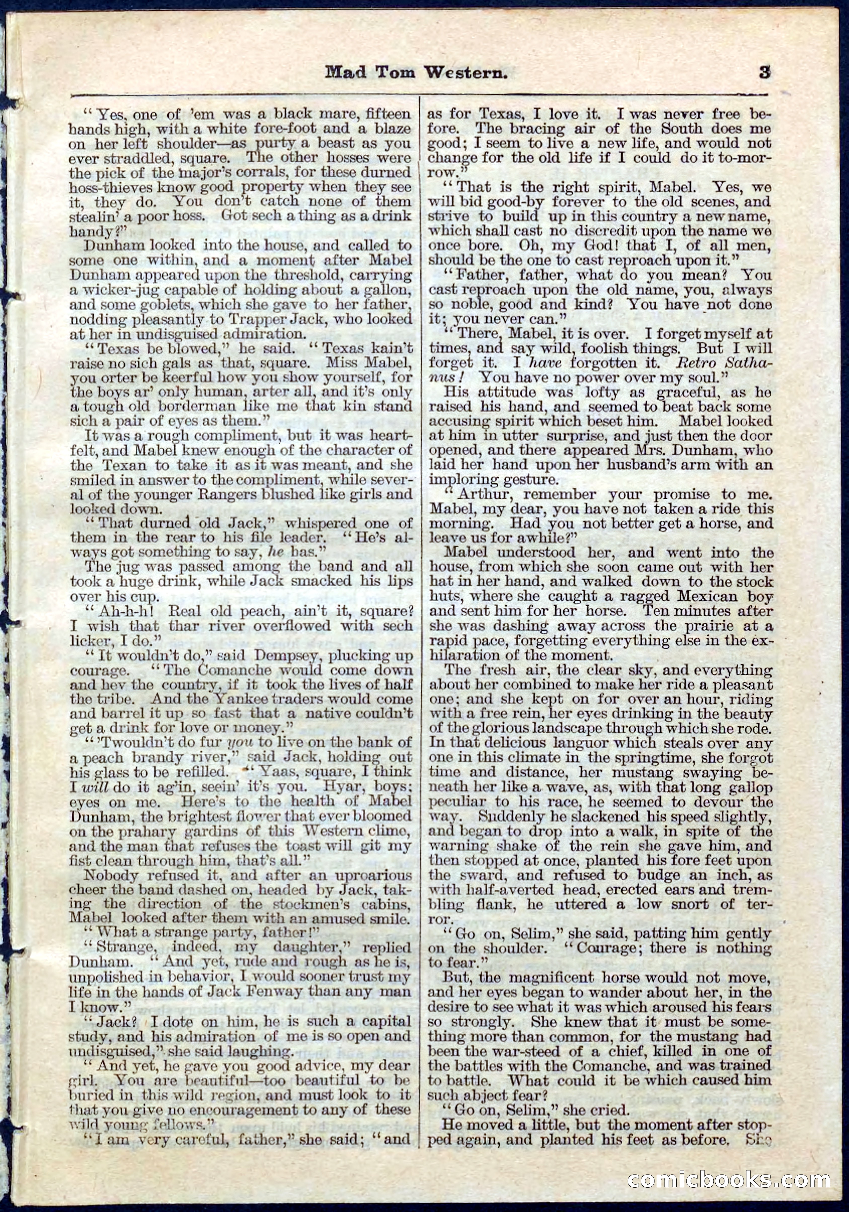 Beadle's Pocket Library No. 56 — page 3 of 32