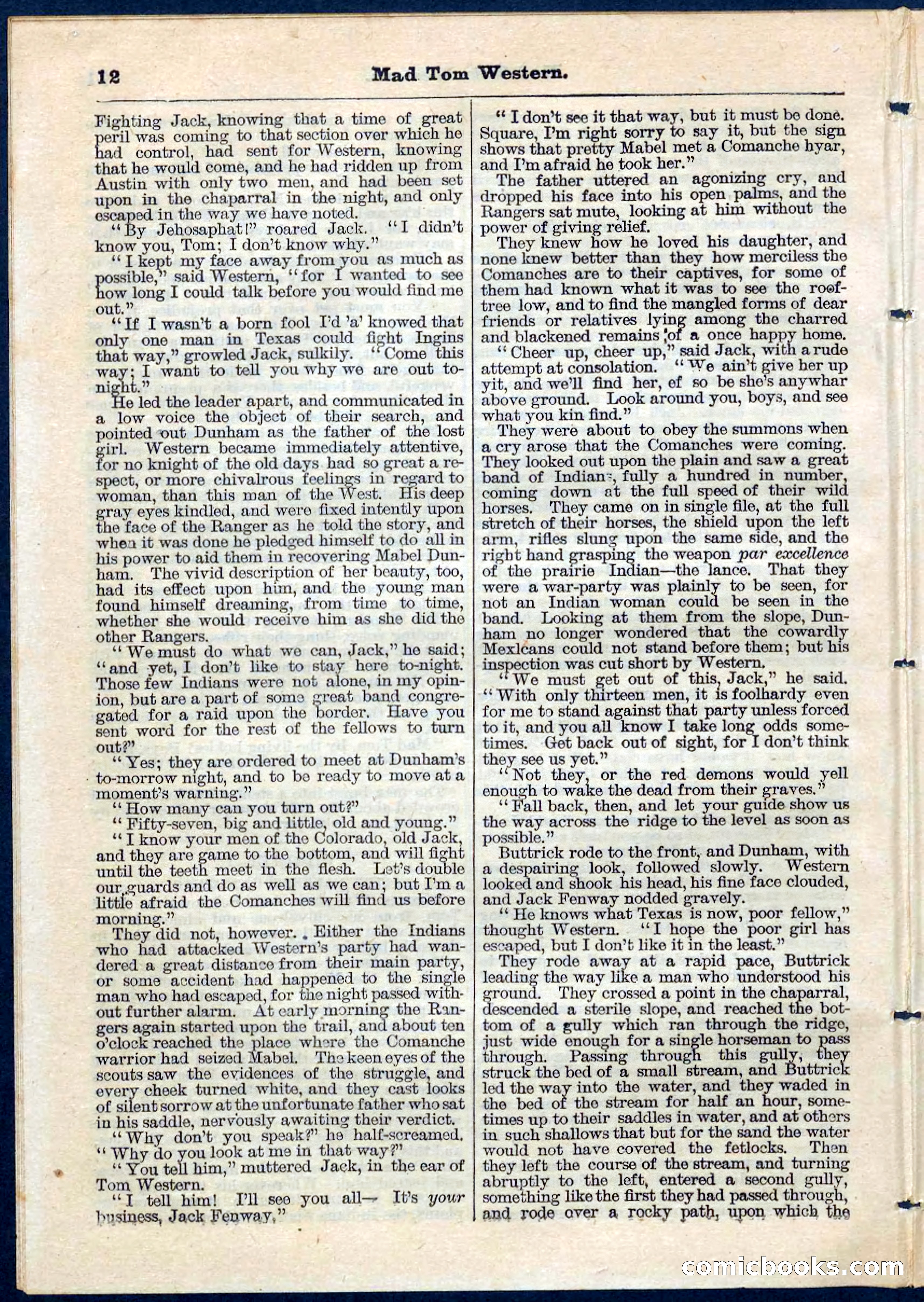 Beadle's Pocket Library No. 56 — page 12 of 32