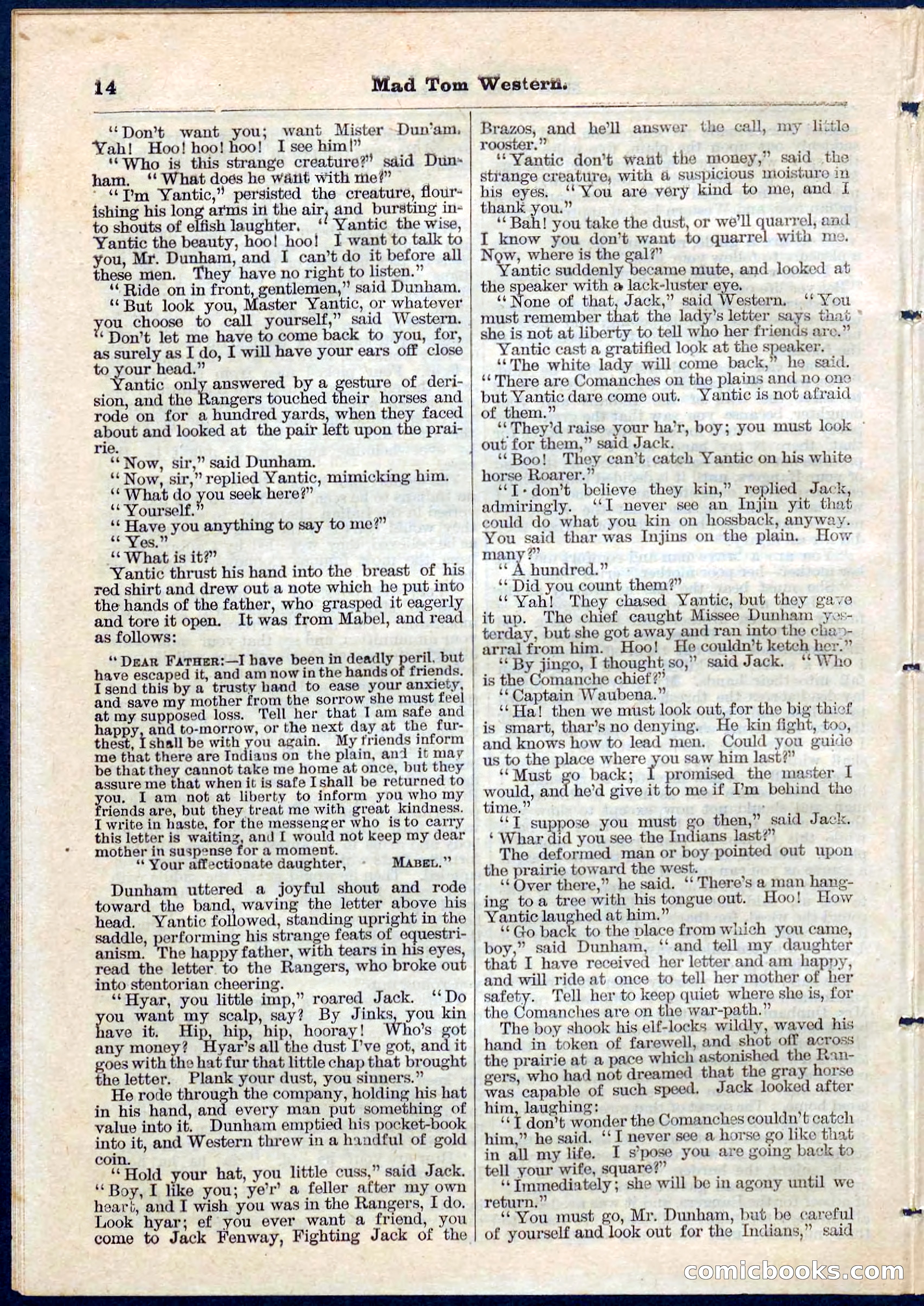 Beadle's Pocket Library No. 56 — page 14 of 32