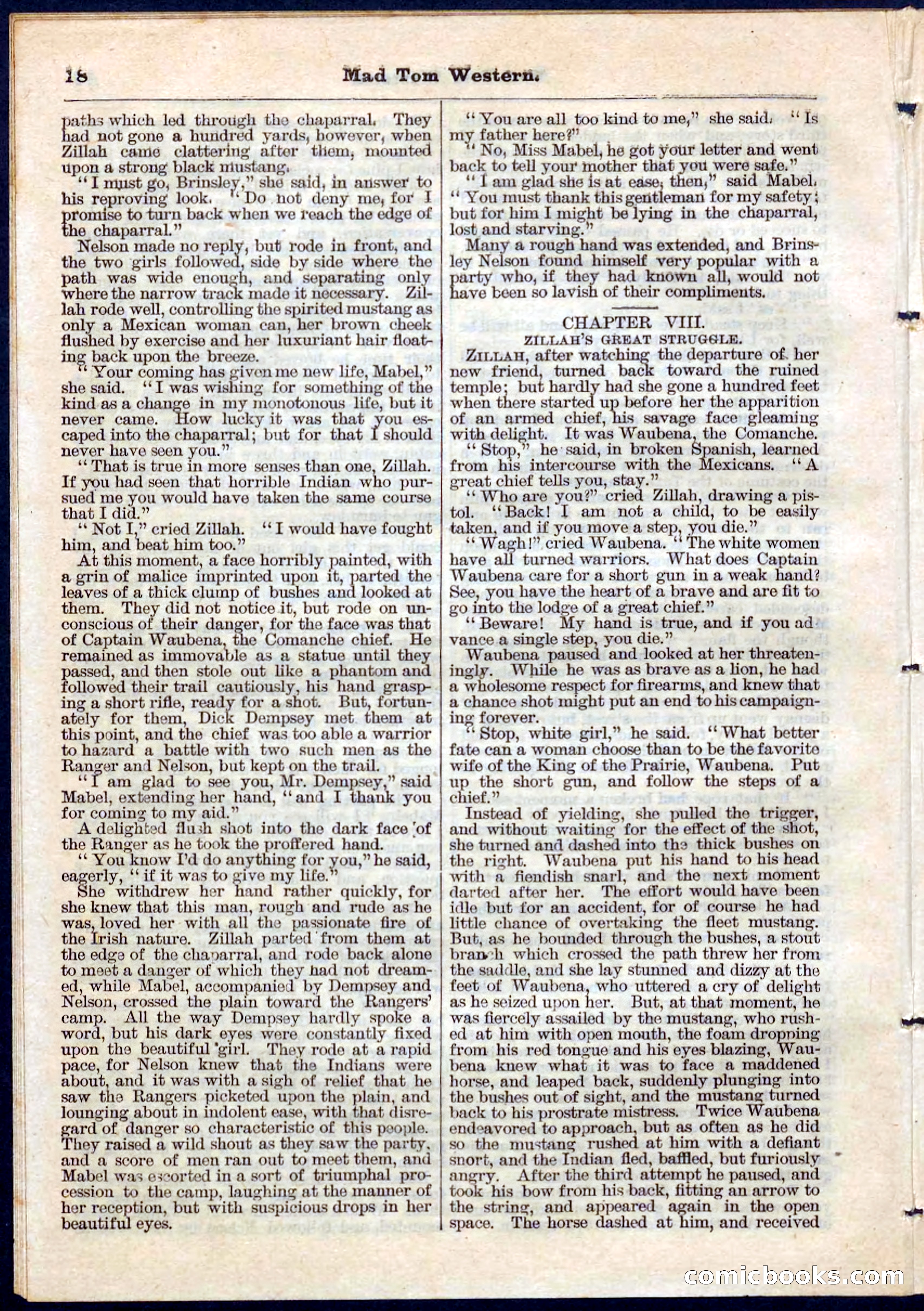Beadle's Pocket Library No. 56 — page 18 of 32