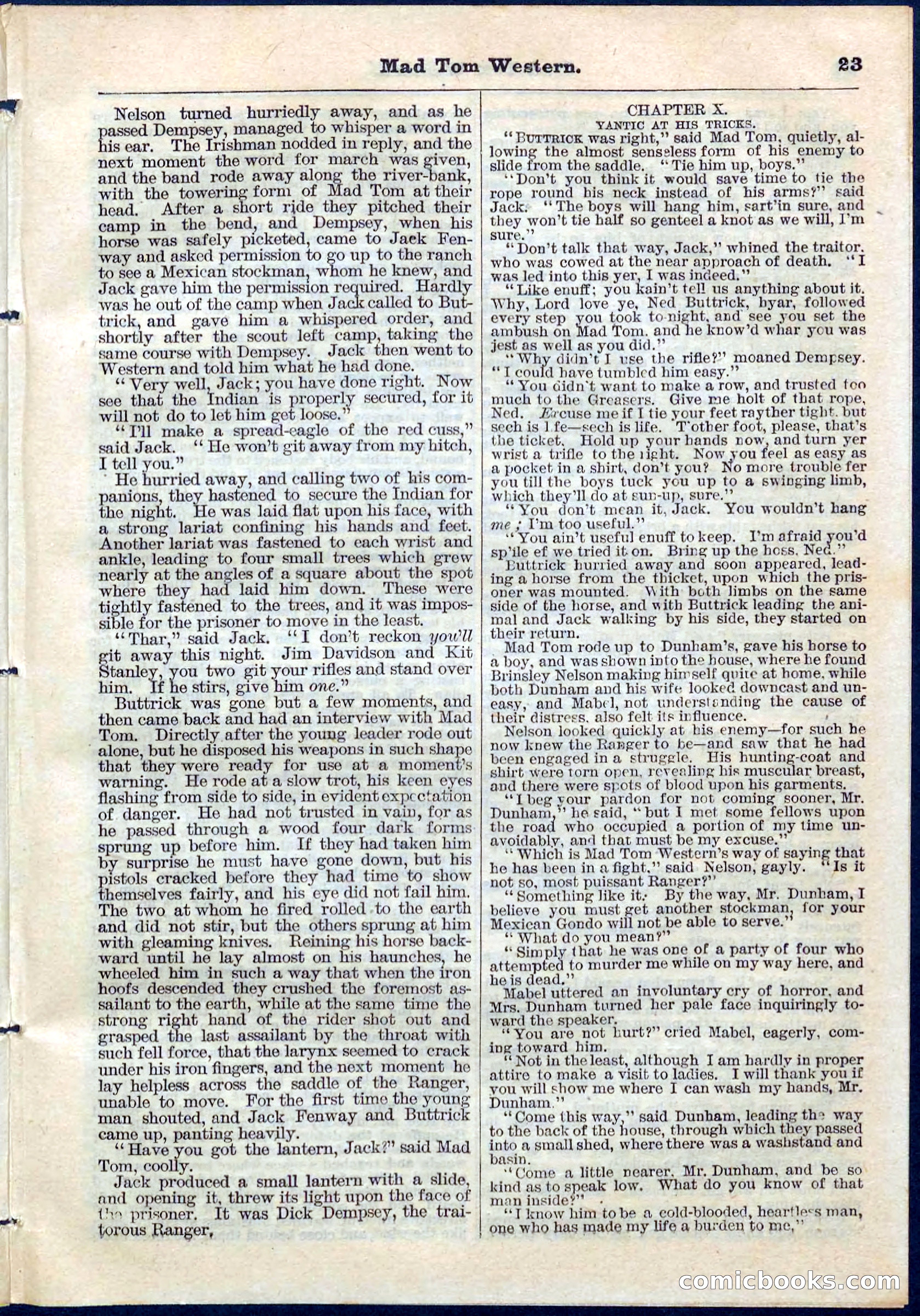 Beadle's Pocket Library No. 56 — page 23 of 32